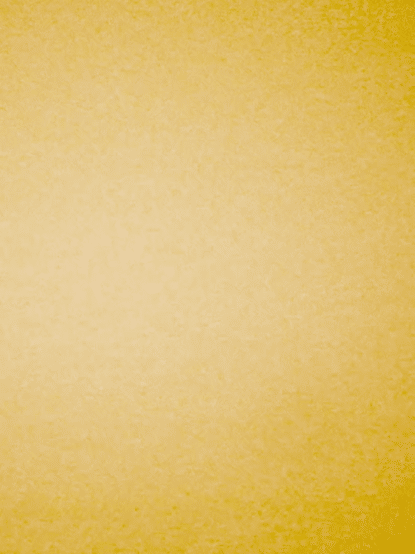 WATCH FILM ︎︎︎