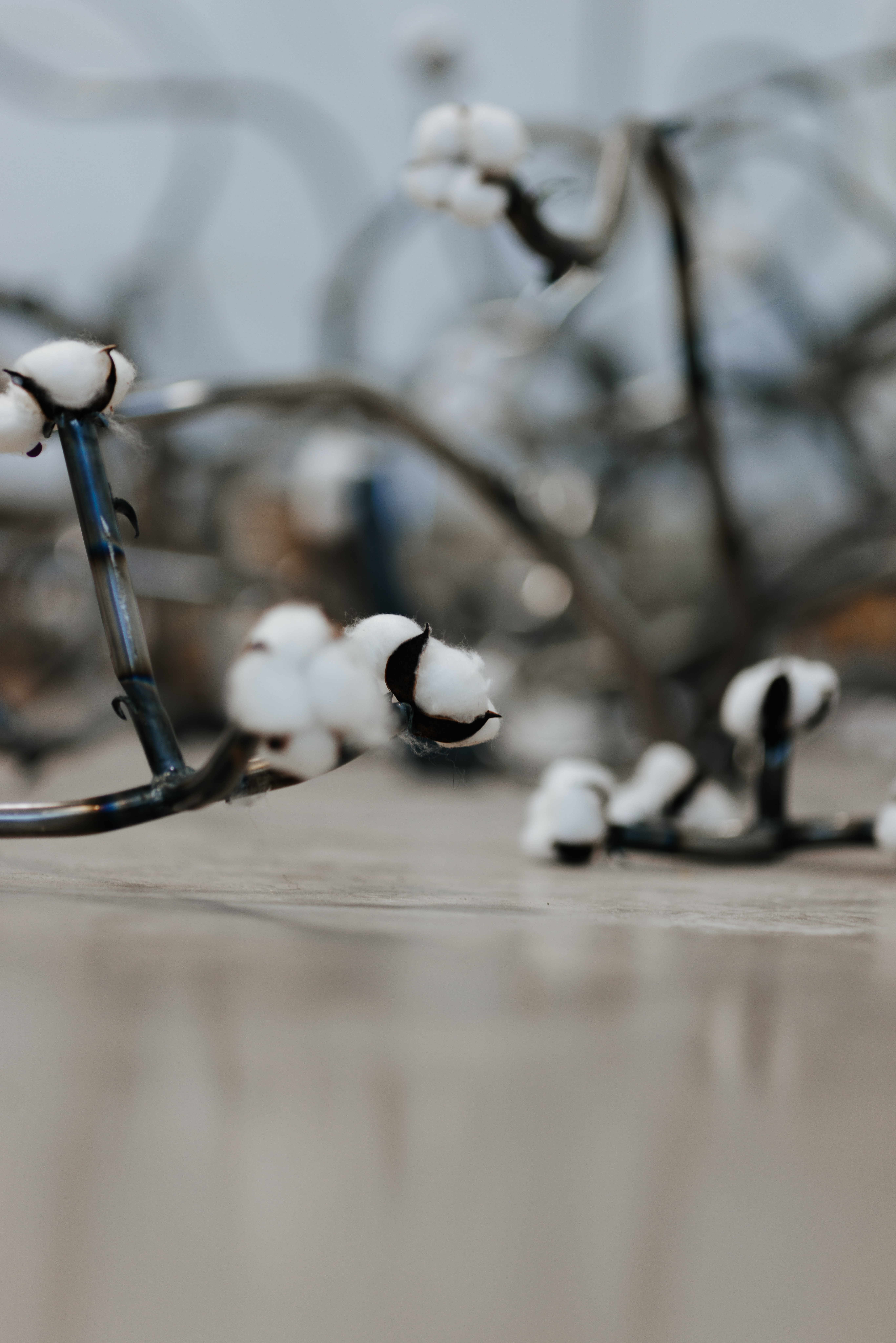 Roots, 2025 Image courtesy of Jovan Lee