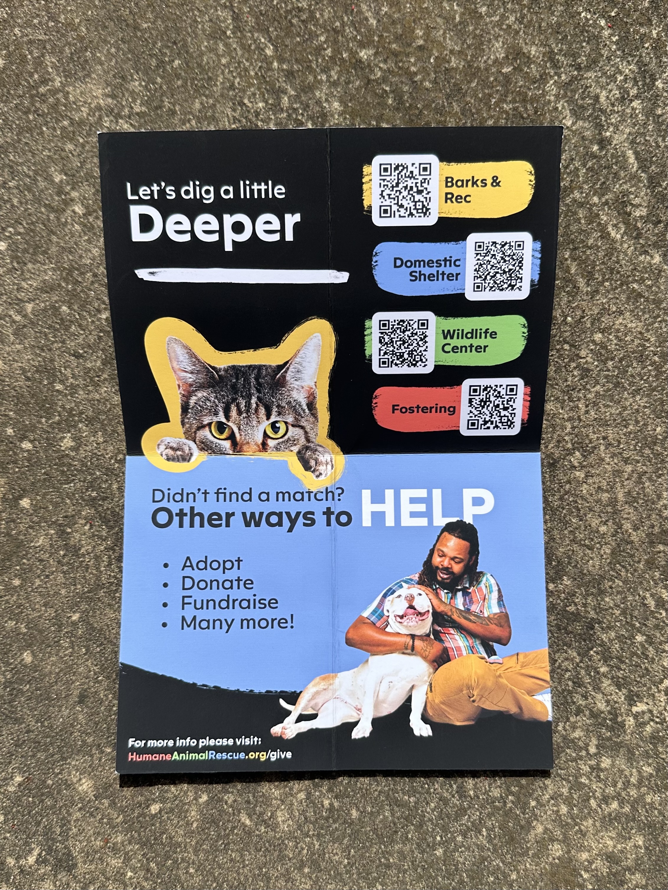 More information + Other ways to help