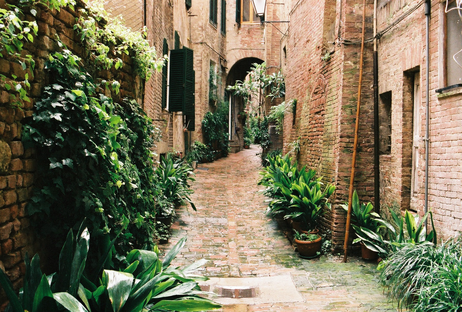 Sienne, Italie, 2016.