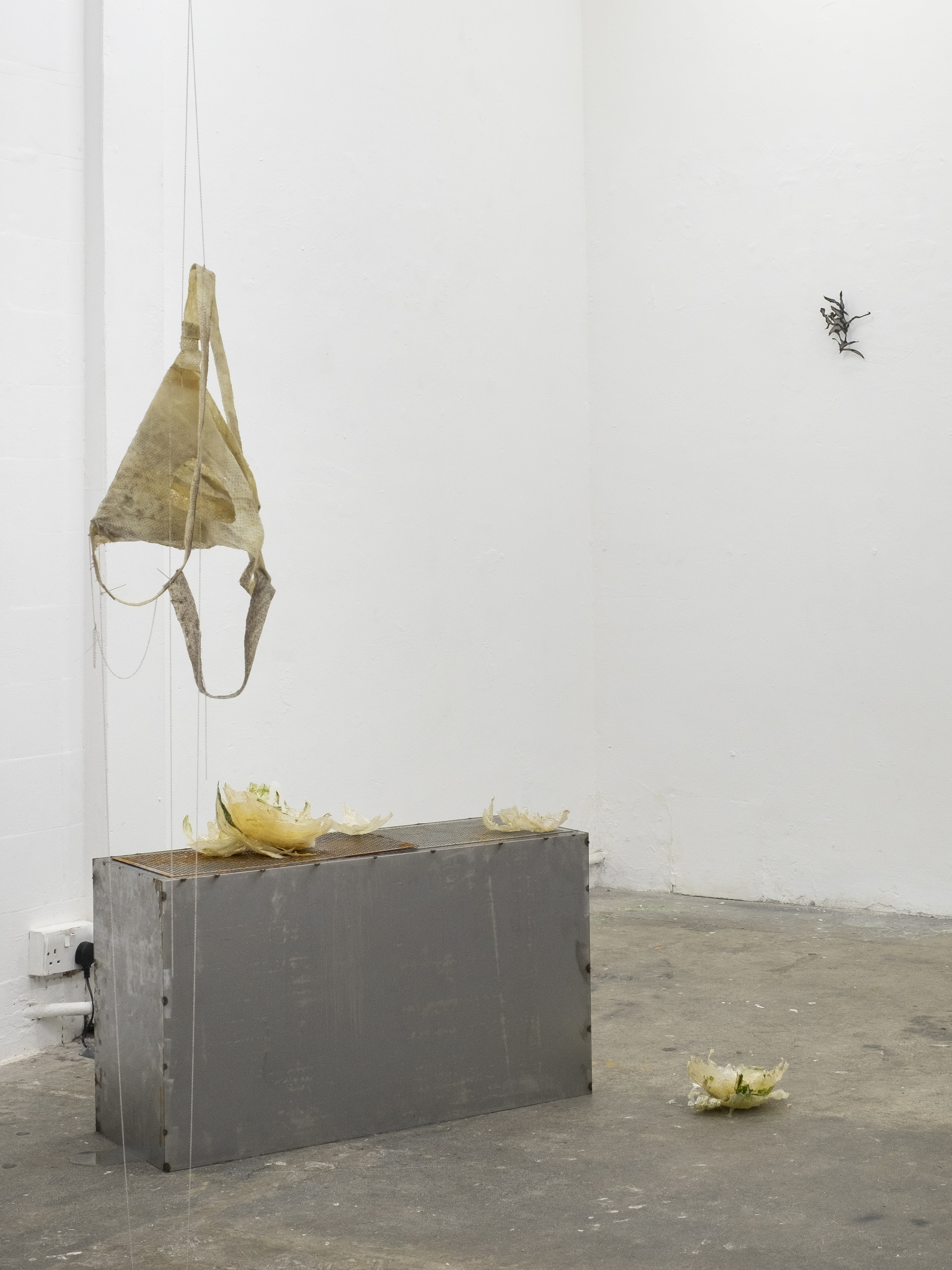 Installation view,  Jasmine Pajdak[photo credit: Filet Space]