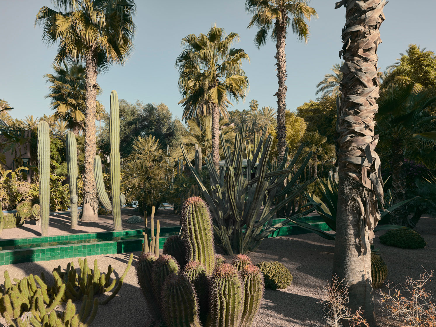 VILLA OASIS - MAJORELLE FOUNDATION - MARRAKESH, MAROCCO