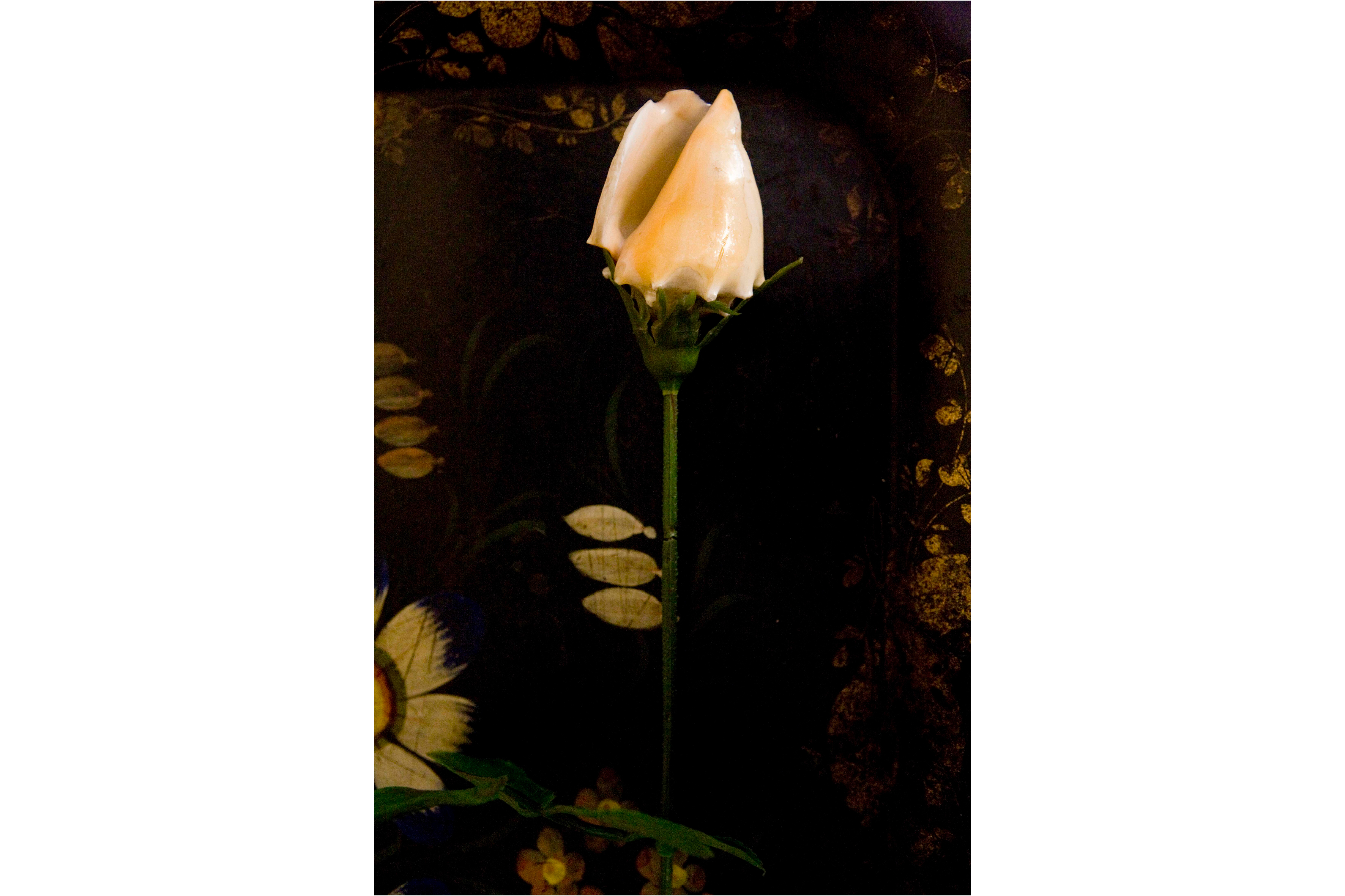 Details - Casa Museo Carlo Mollino | progetto fotografico/installativo di KINGS