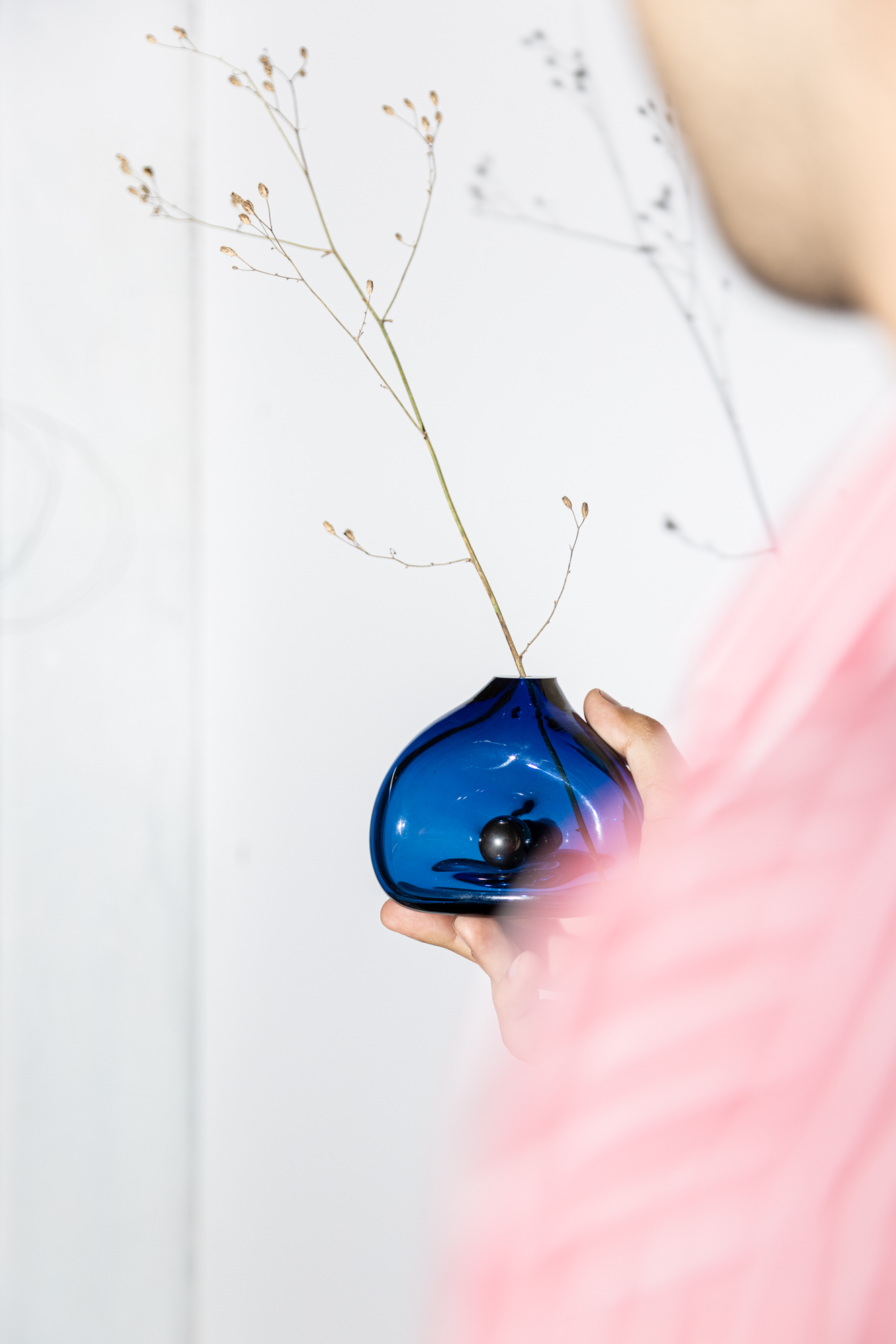 Photo for João Xará