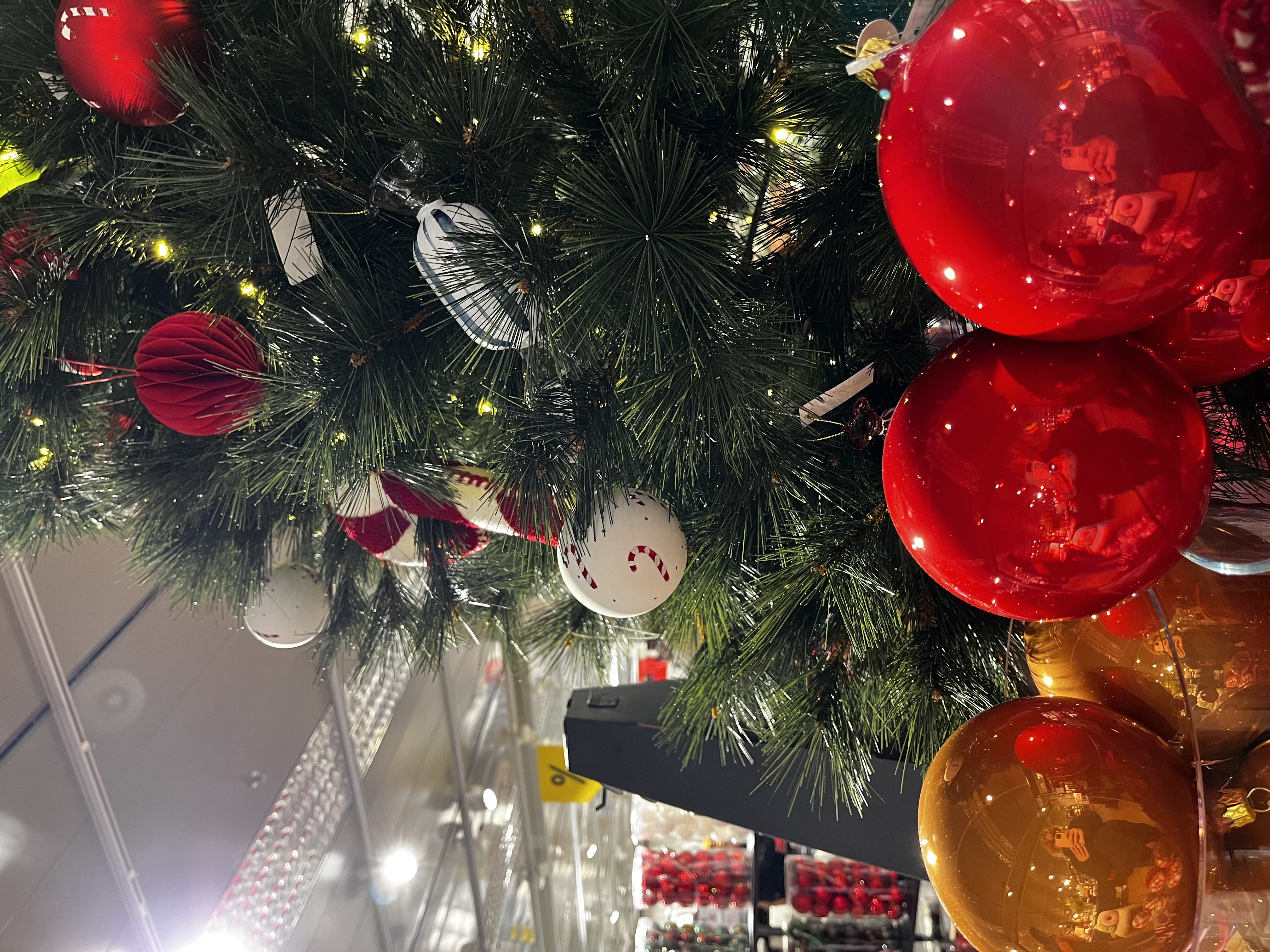 Self-Portrait, Frieda Tellenbach, Winterthur, 2025