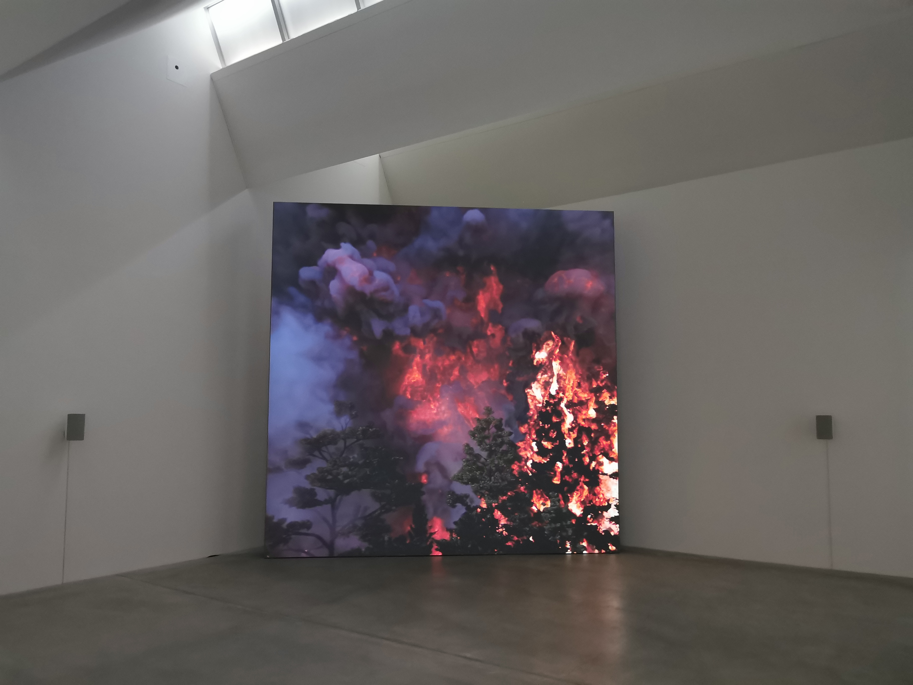 Kunstmuseum Winterthur, 2020