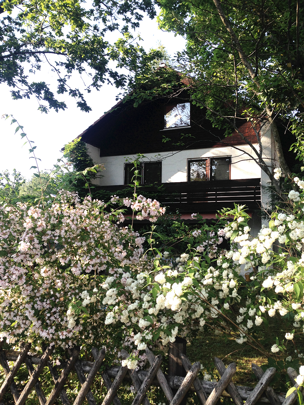Einfamilienhaus im Grünen