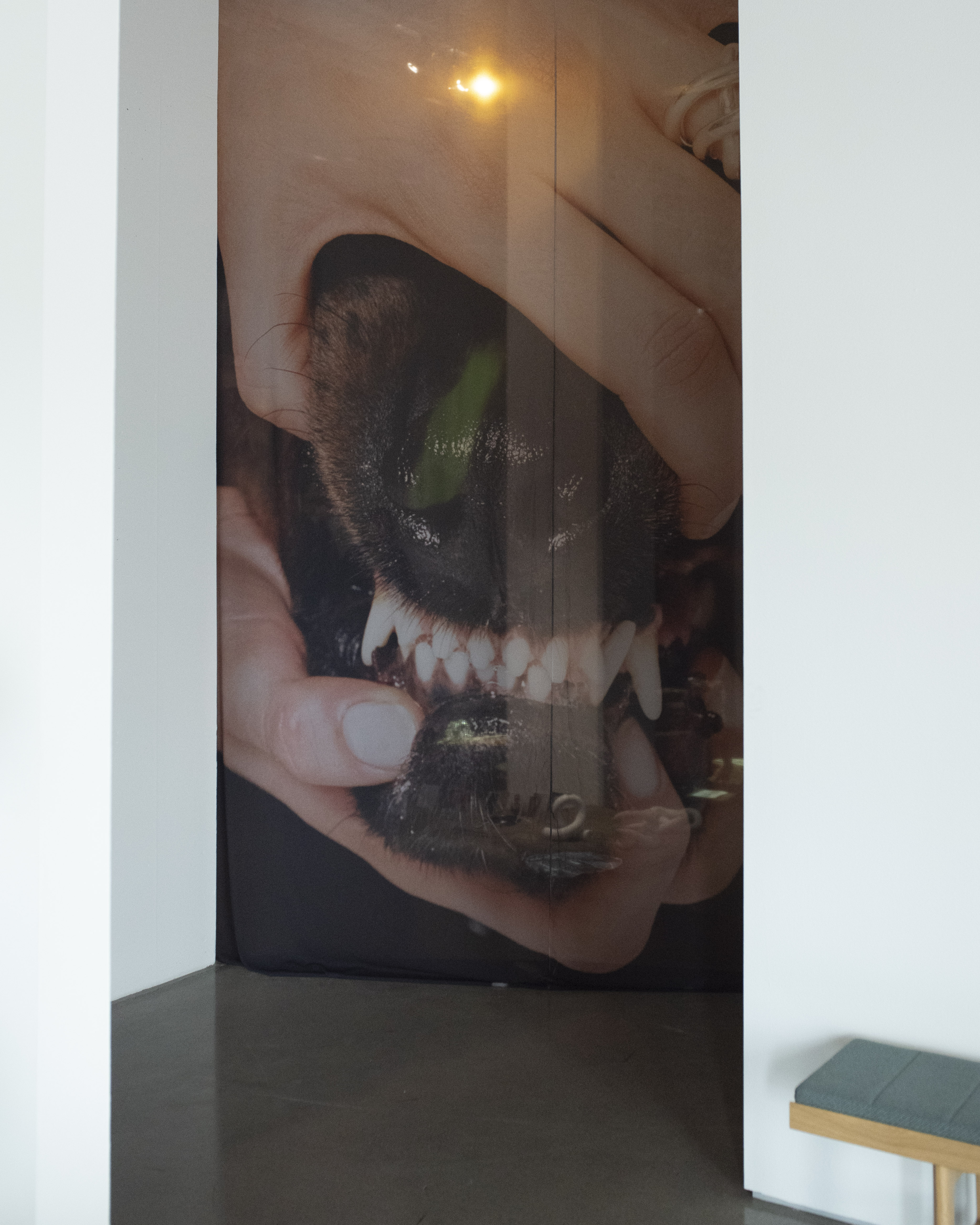 Oslo Runway (curator)