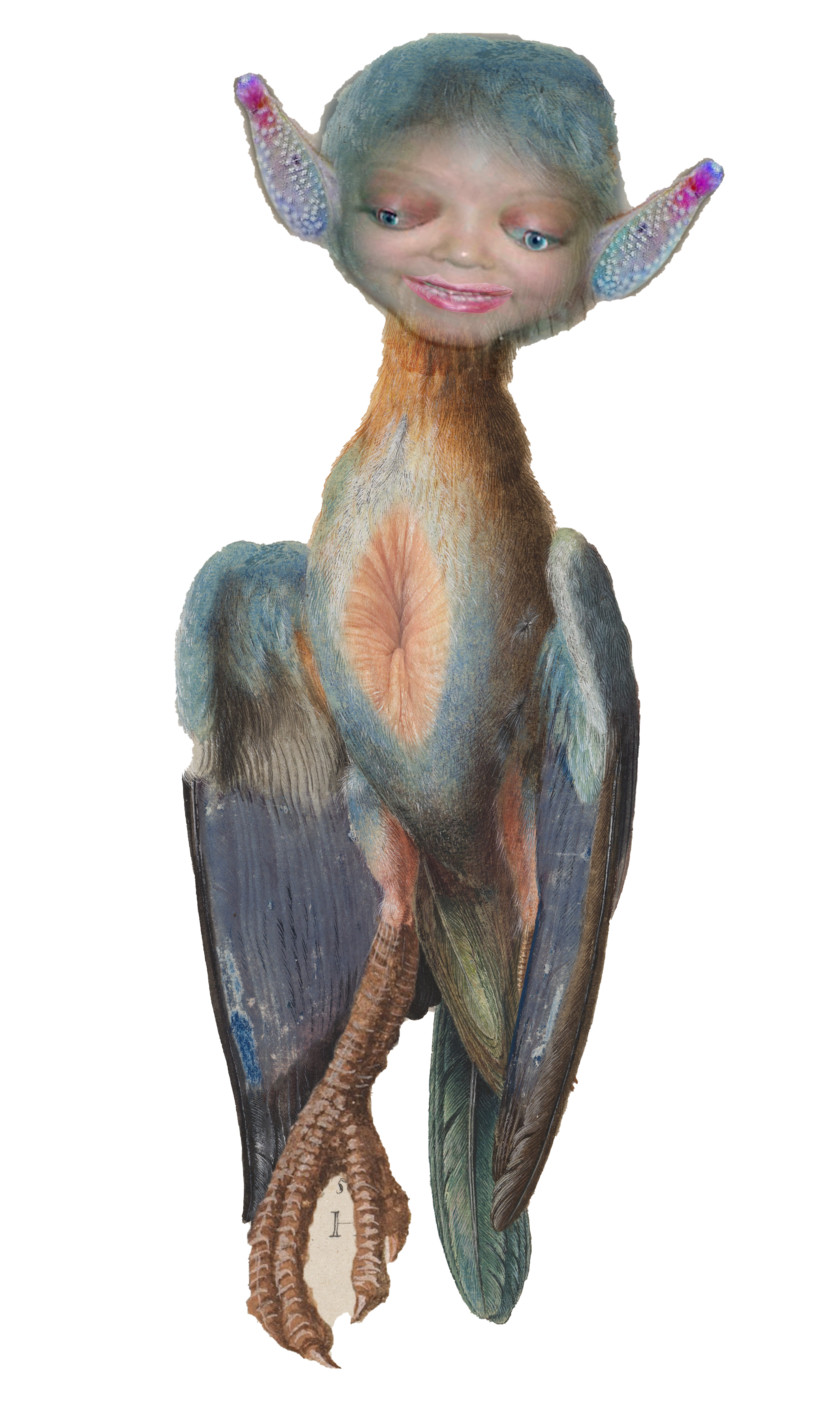        the road to a start and an archive 