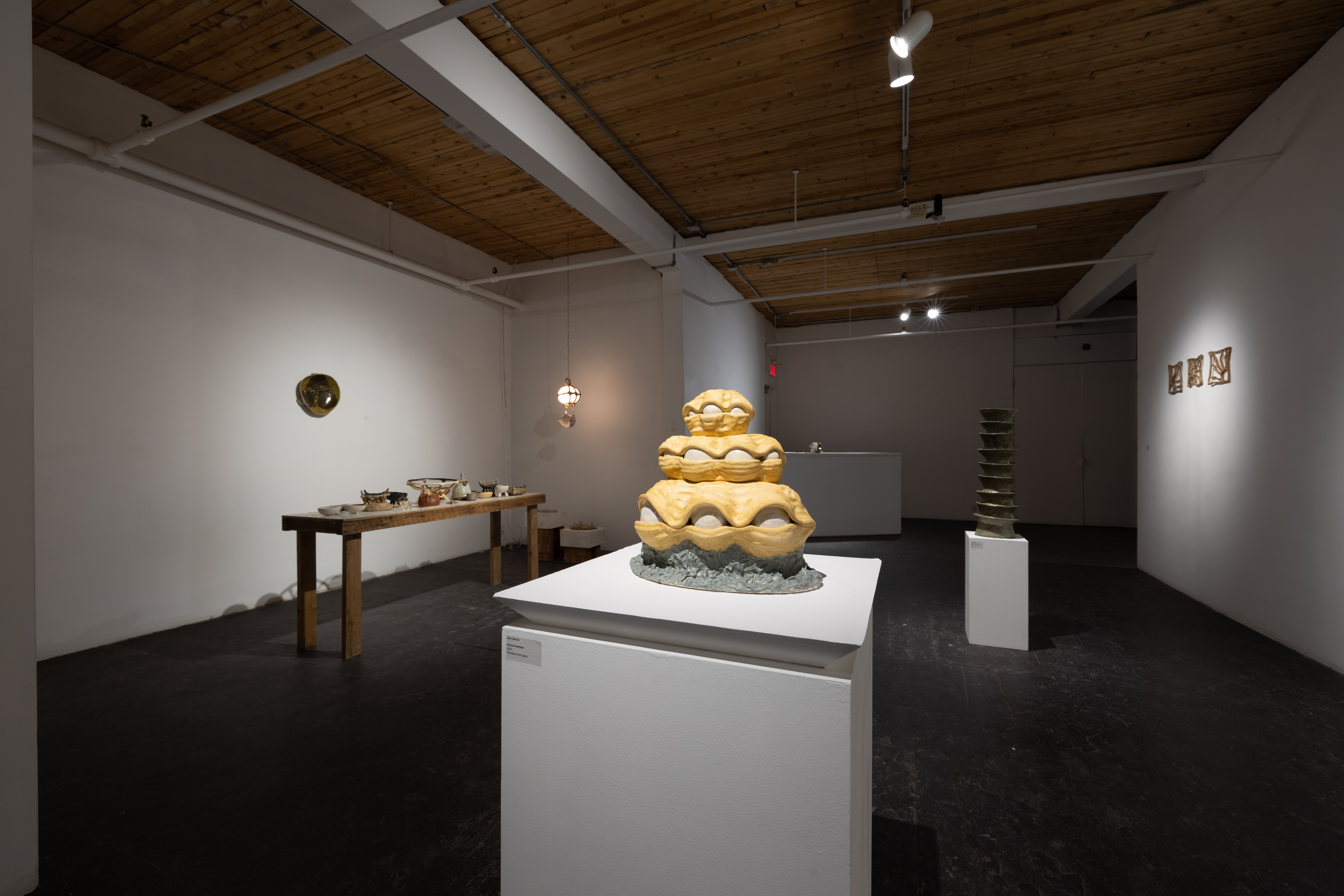 Feast of iridescence, installation view