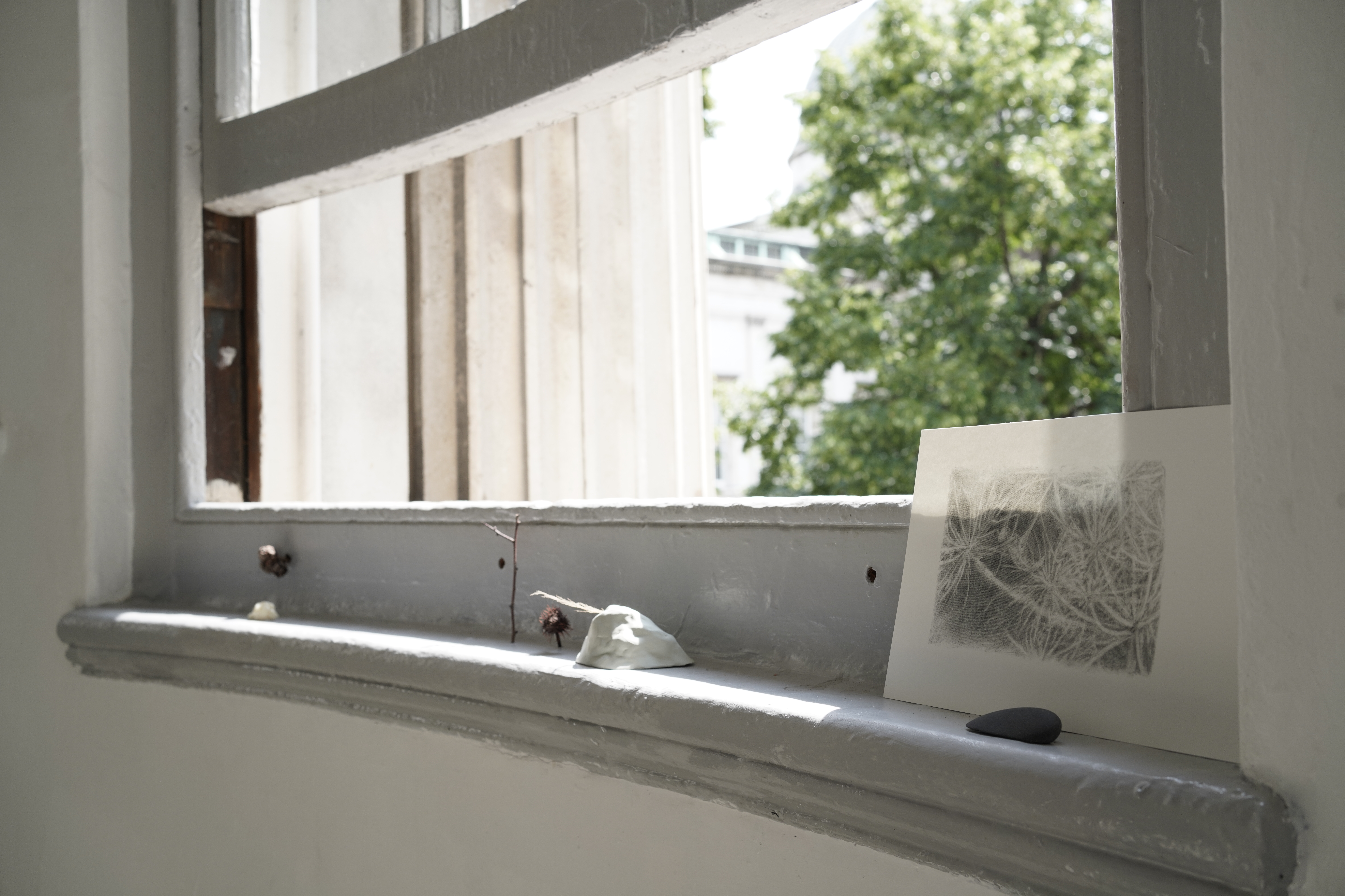 Photo credits Thea Wang