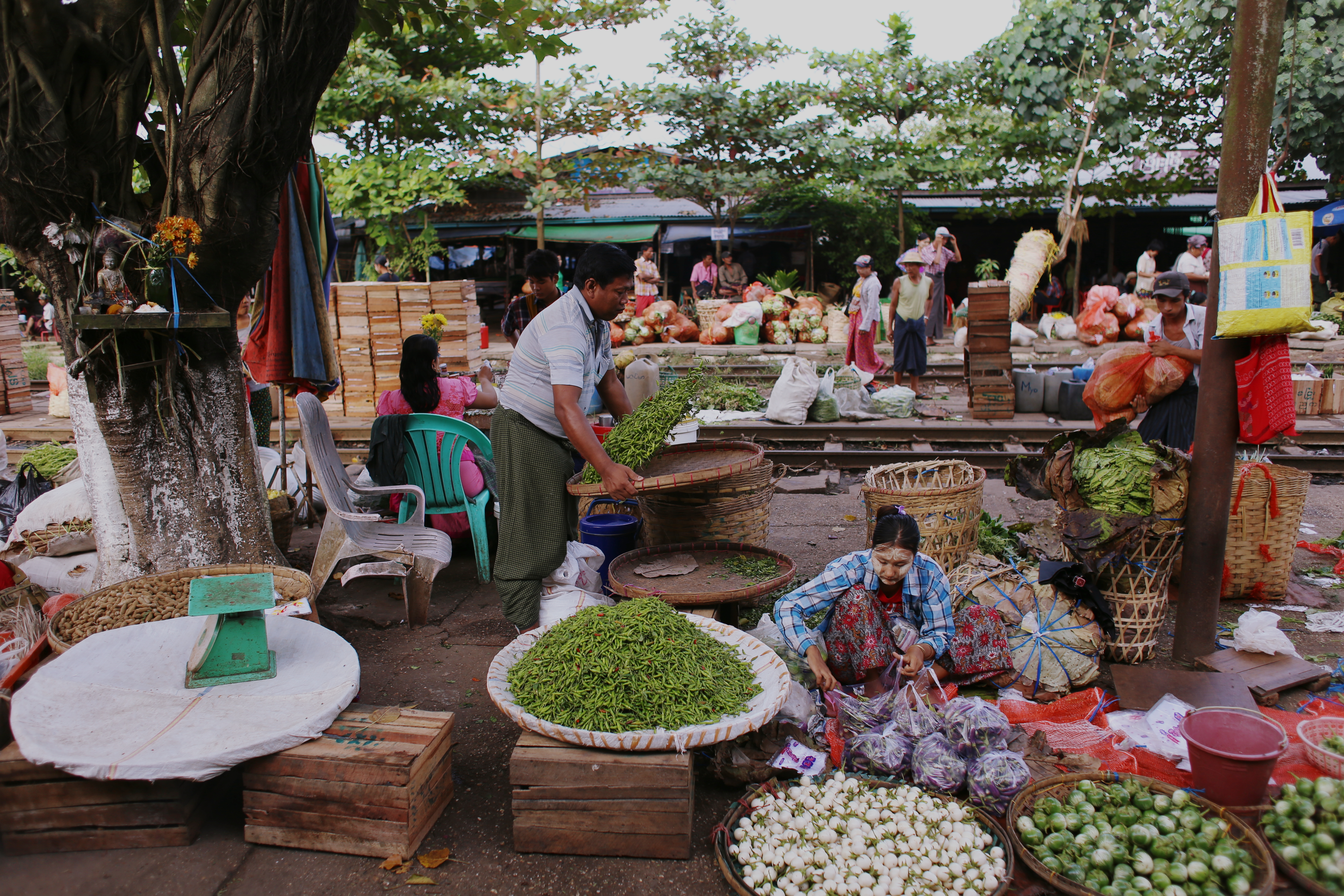 A trader tosses beans at Danyingon Station. All four platforms (and often the tracks themselves) are crowded with farmers who bring produce to sell to both Yangon wholesalers and the general public.