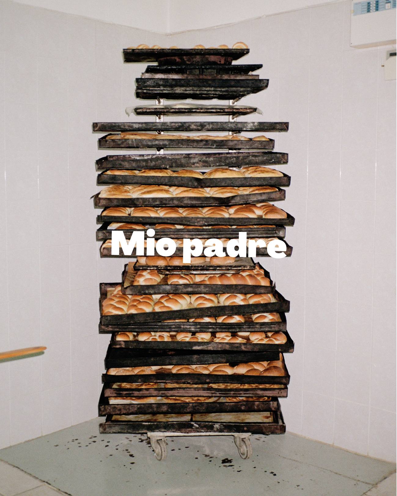 Mio padre_Domingo_Nardulli 