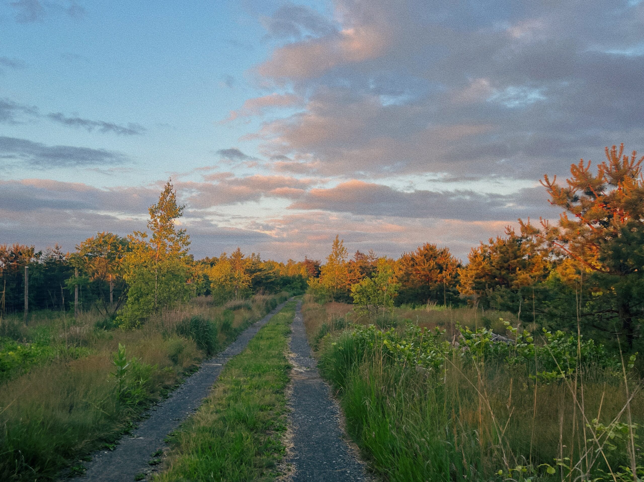 Pennsylvania Brought Me Back to the Present Moment