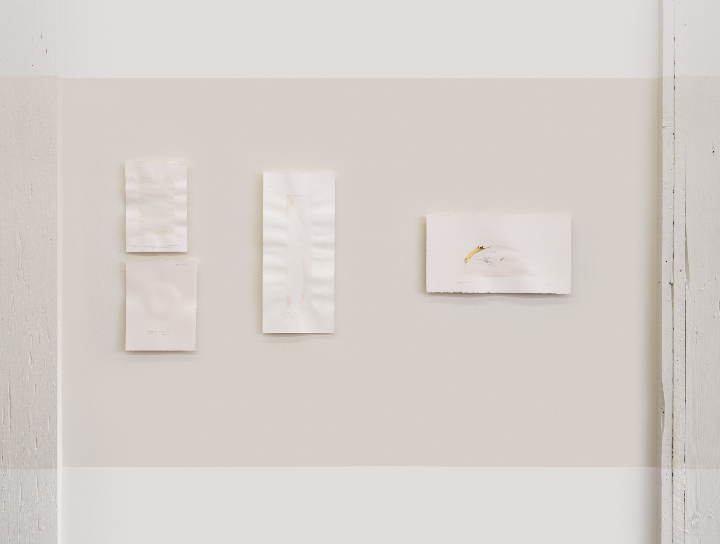 Judith Williams, Water / Colour, 2026. Installation view: Pale Fire, Vancouver. Image Credit: Rachel Topham