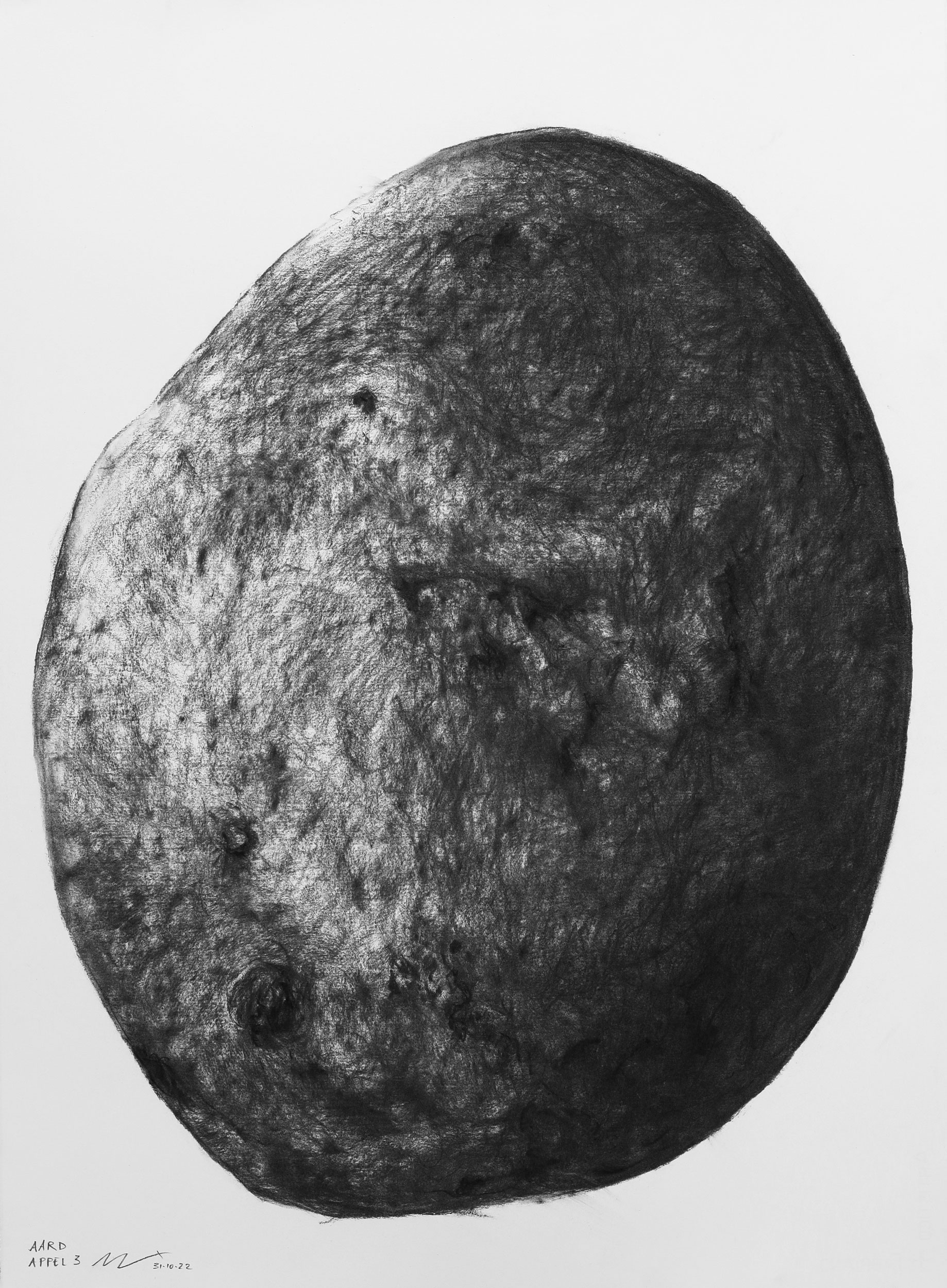 Grote (houtskool-)tekeningen