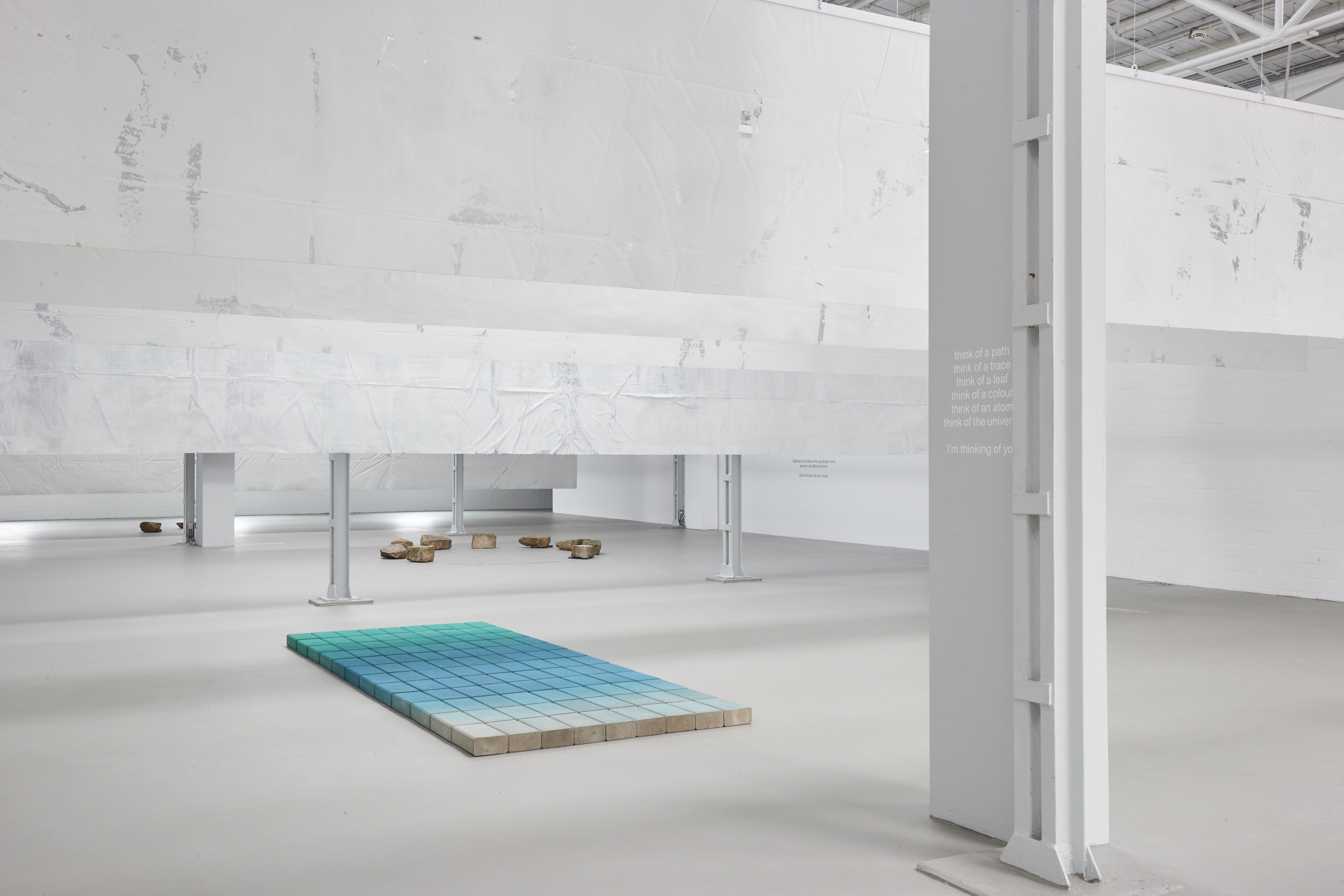 MANIGUA by NICOLÁS PARIS at KUNSTHALLE MÜNSTER curated by MERLE RADTKE [from 20240831 to 20241208] [Photo: Volker Renner] 