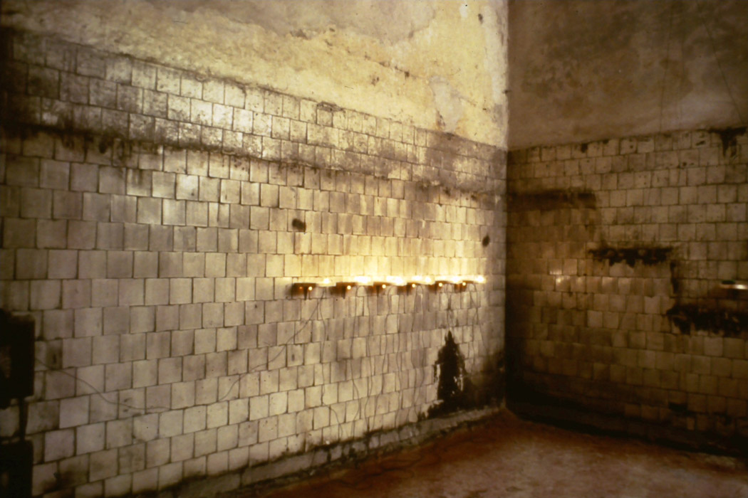 untitled (installation view), wire, wood, light 5