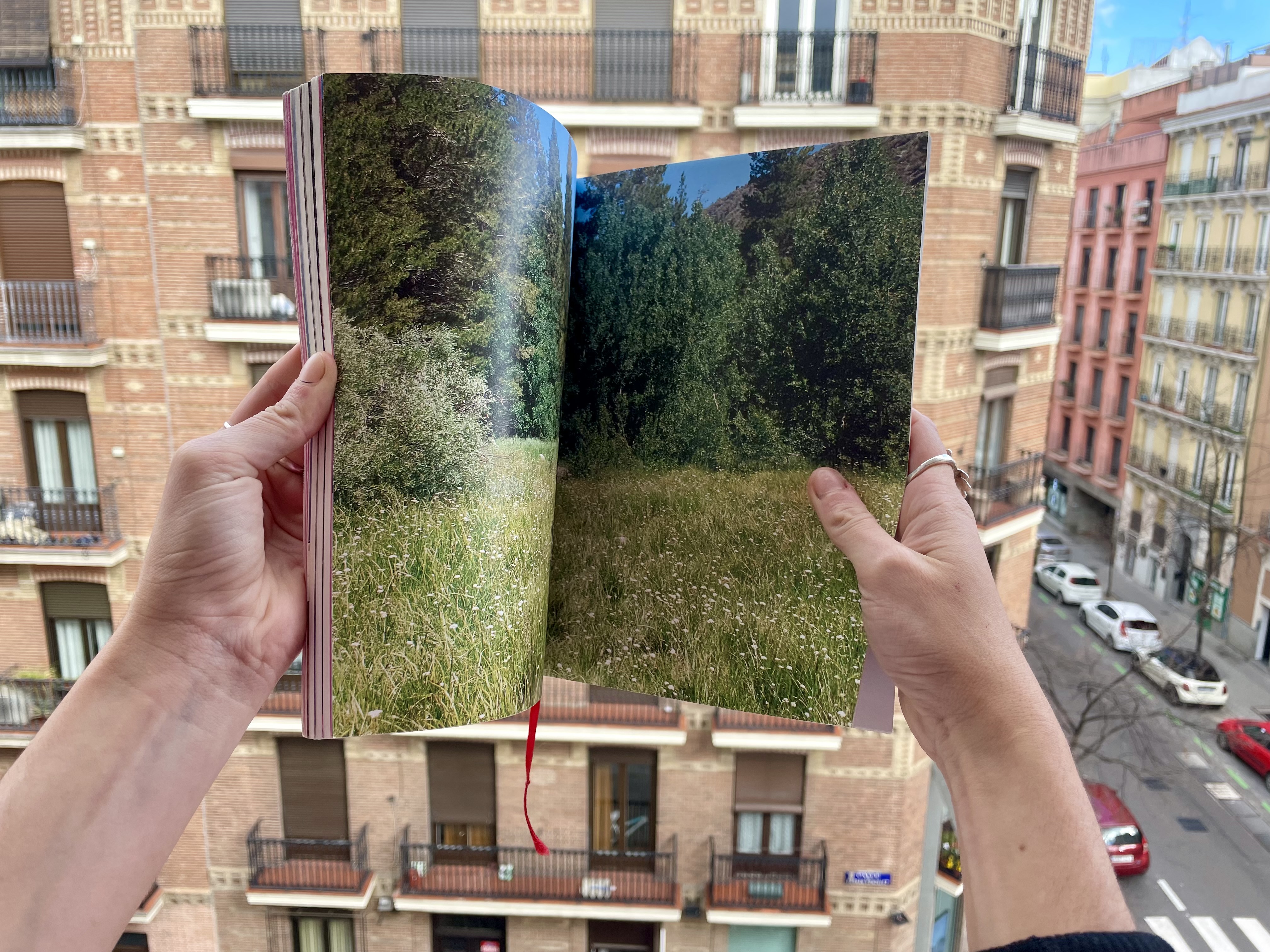 1. "Un pequeño libro de fotos y palabras"