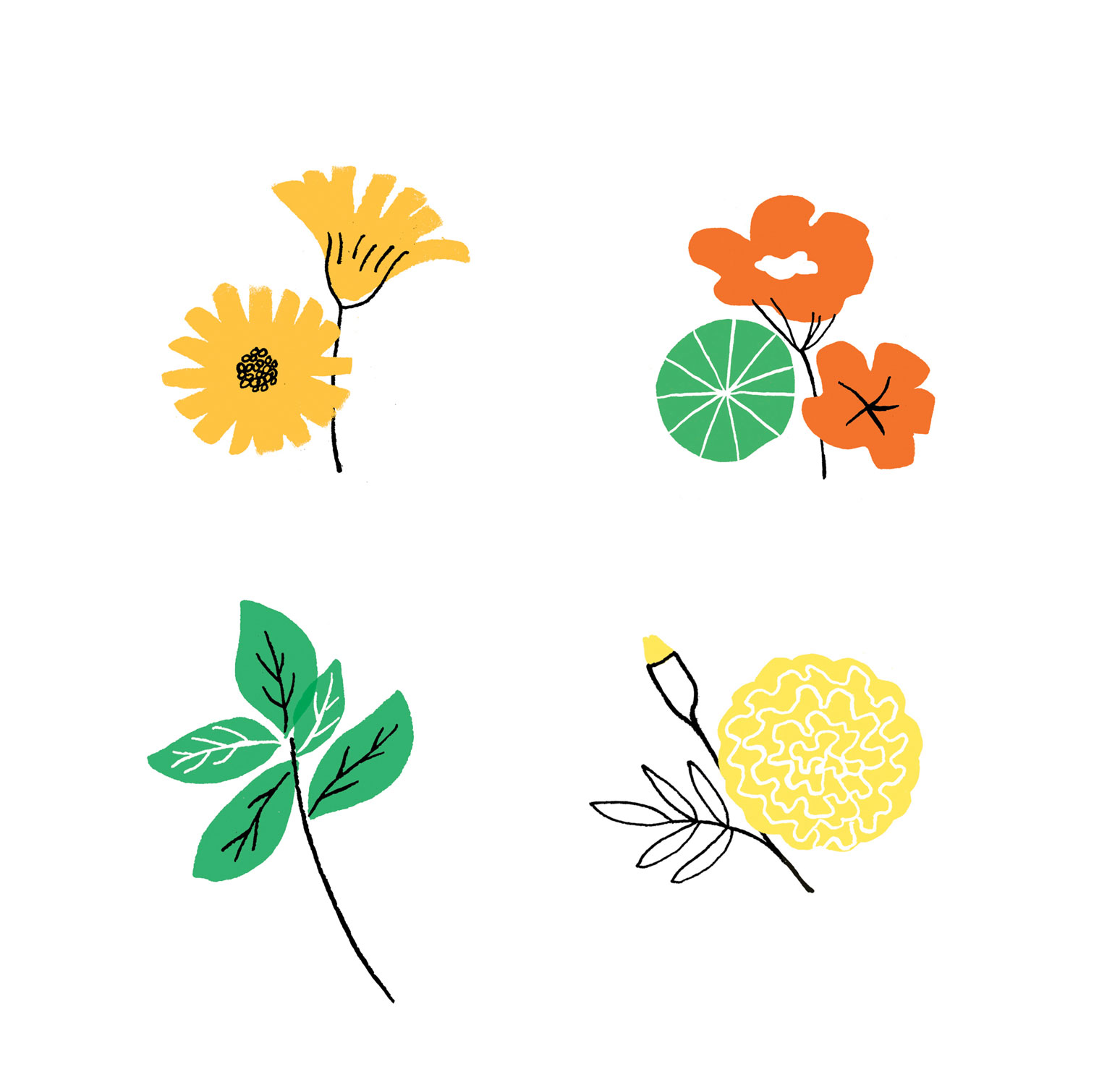 Spot Illustrations for Martha Stewart magazine
