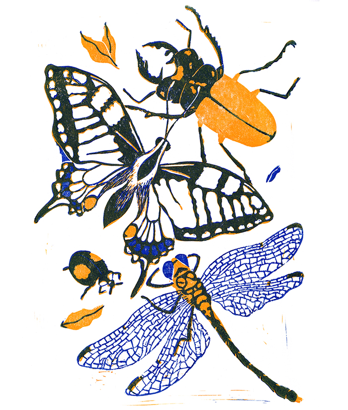 A butterfly, a beetle and a dragonfly