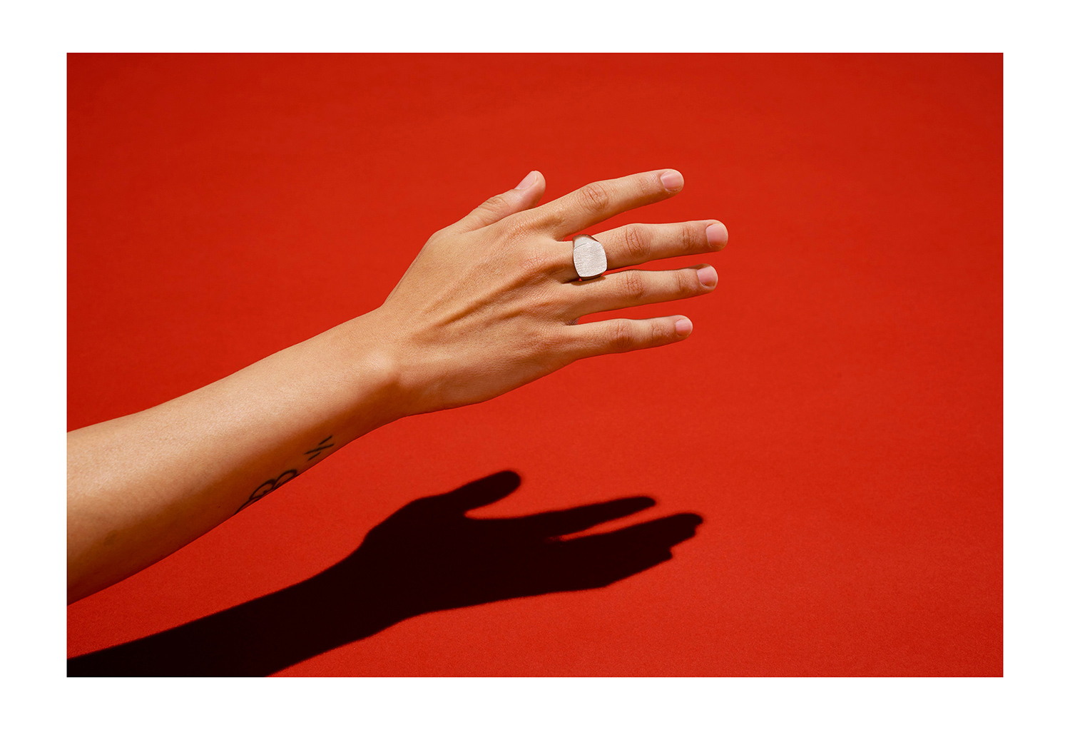 Photographed by F. Martin Ramin