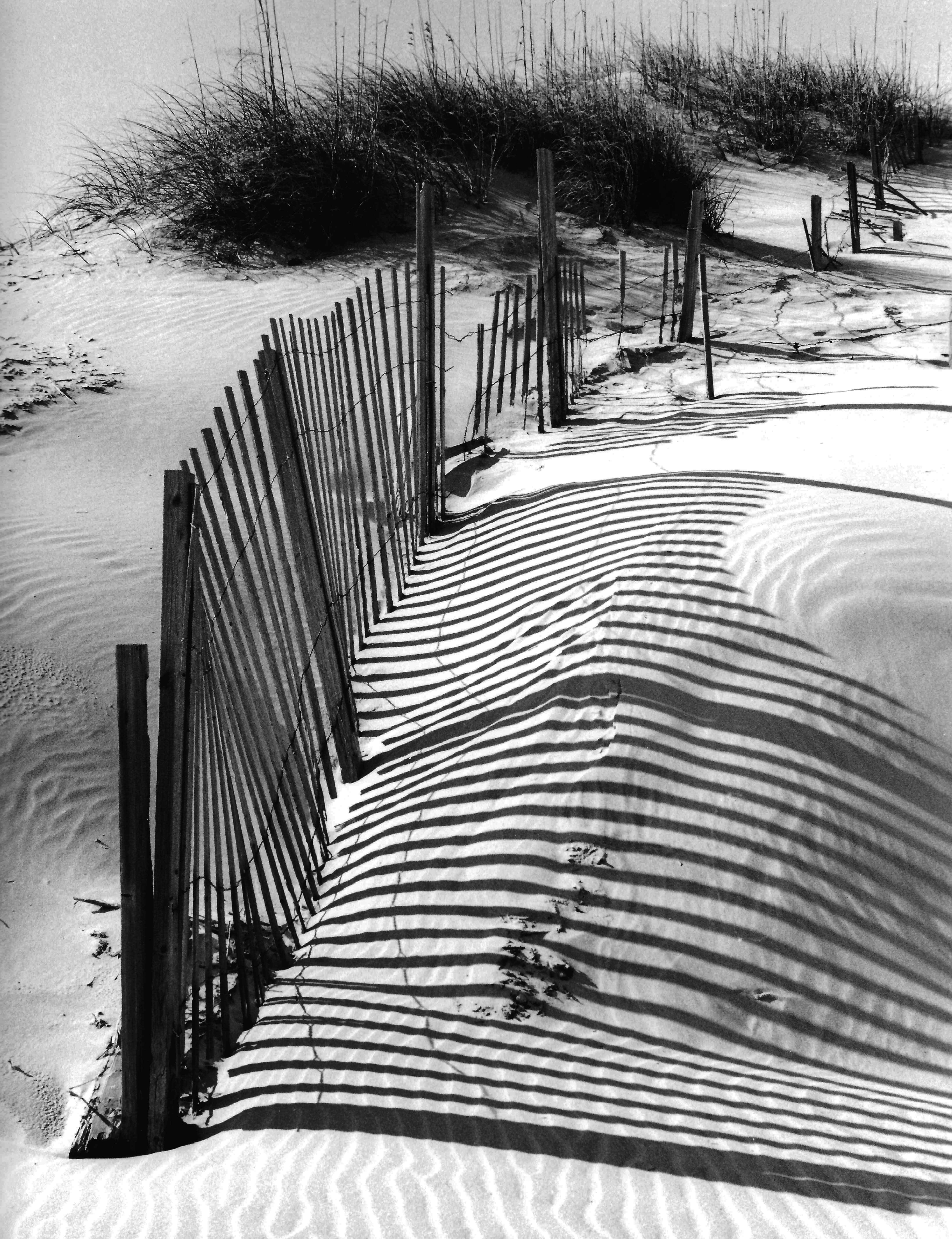 Sand Whispers | 35 mm Silver Gelatin Print | Outer Banks, NC