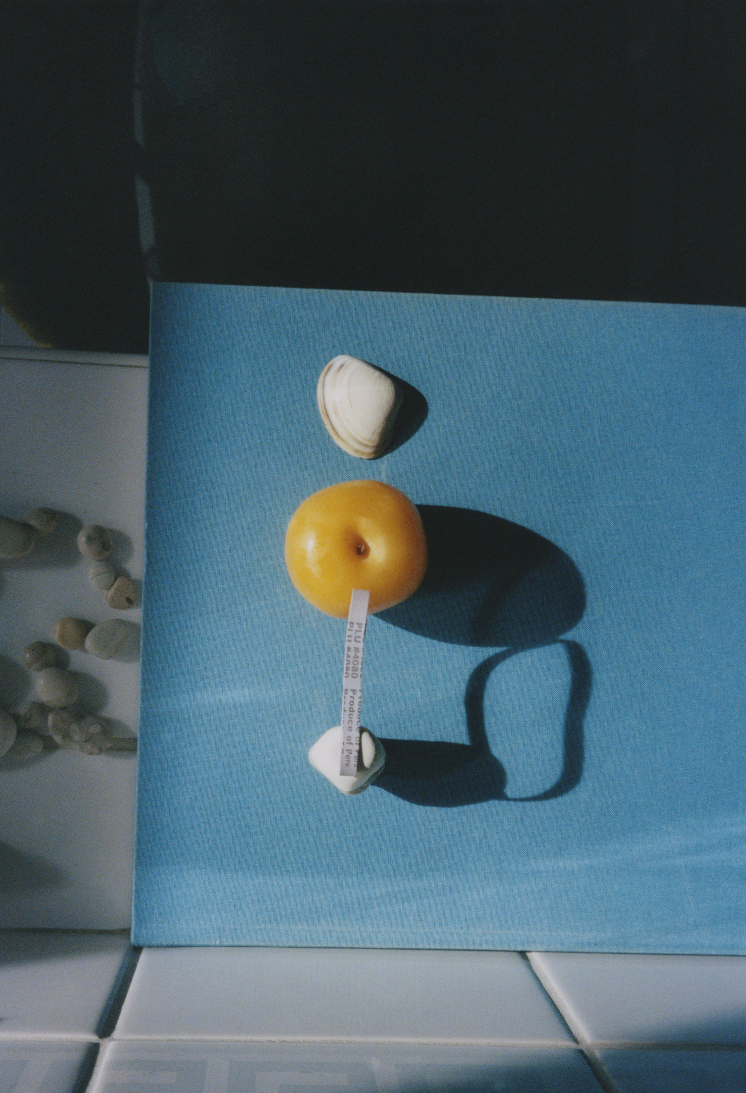 Index - Self Care Issue. (8/10)