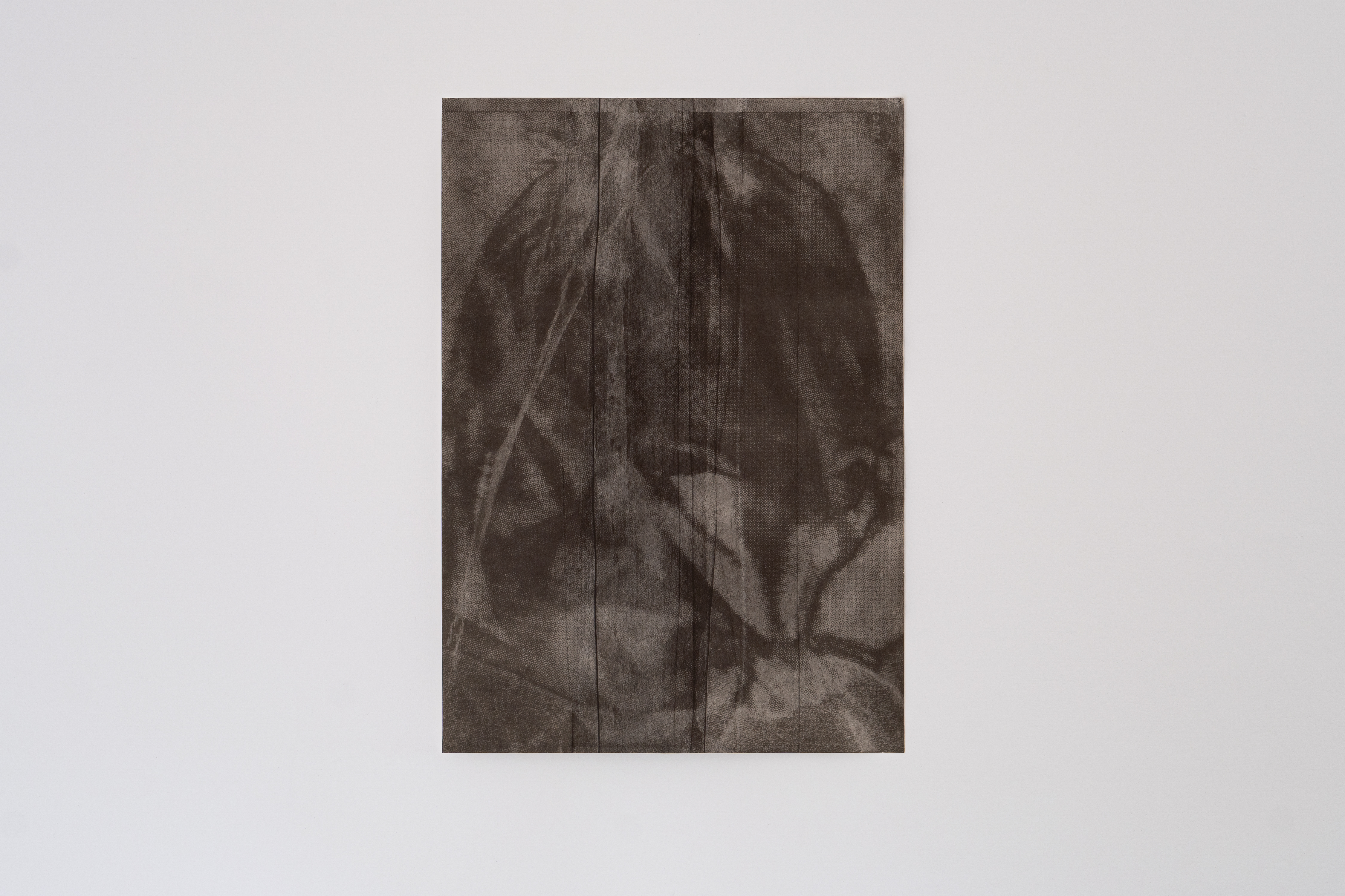 Untitled, 2021, PVA Diazo and Pigment print on Paper, 40 x 60 cm.