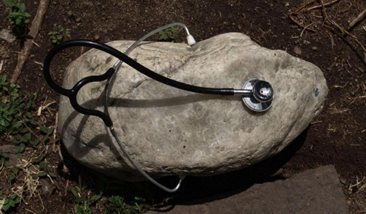 figure 2. Benvenuto Chavajay Untitled (Stone with stethoscope), 2009. Photography. 69cm x 100cm. Image courtesy of the artist and Galería Extra, Ciudad de Guatemala.