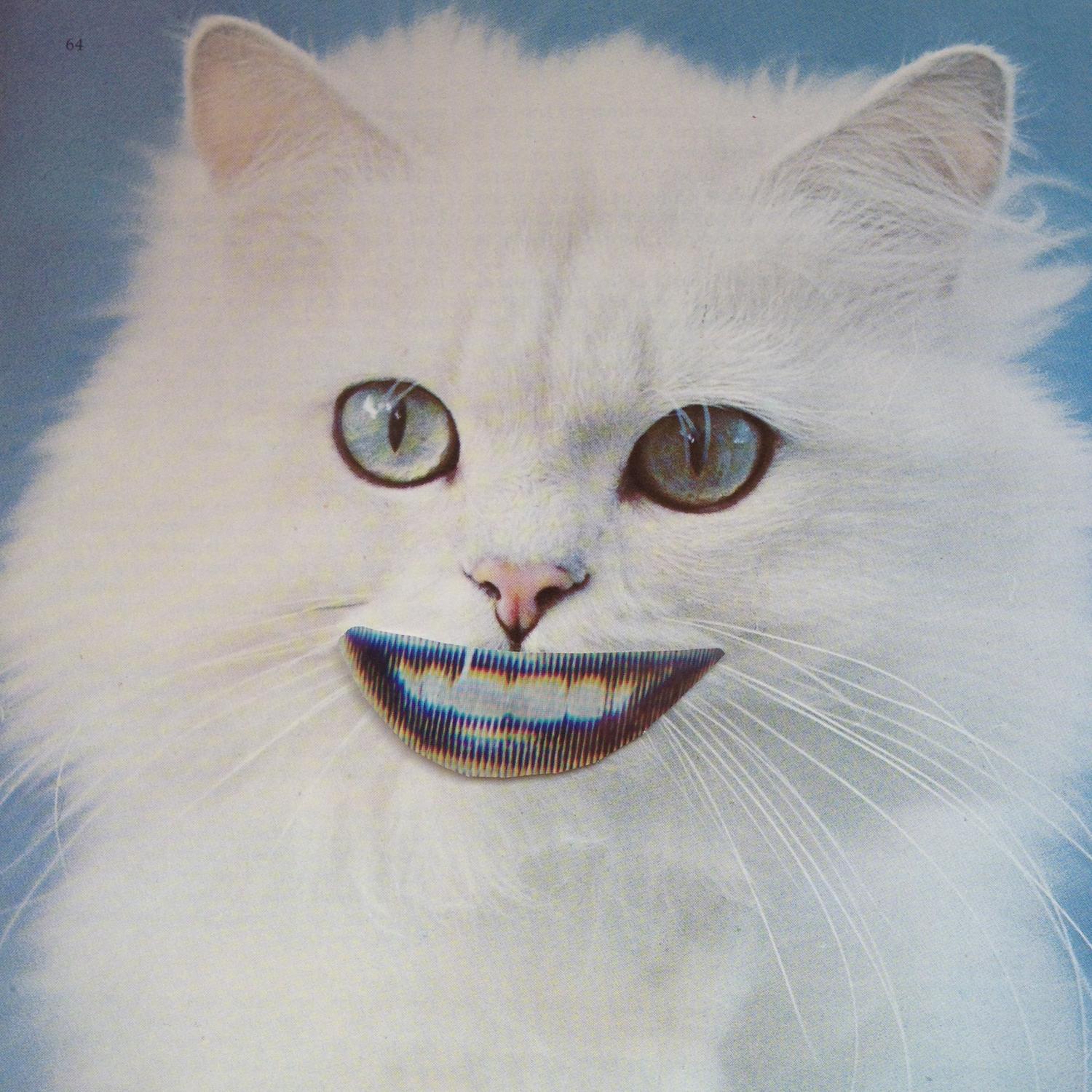 Pure Evil, 2015, photomontage, 25 x 27.4 cm