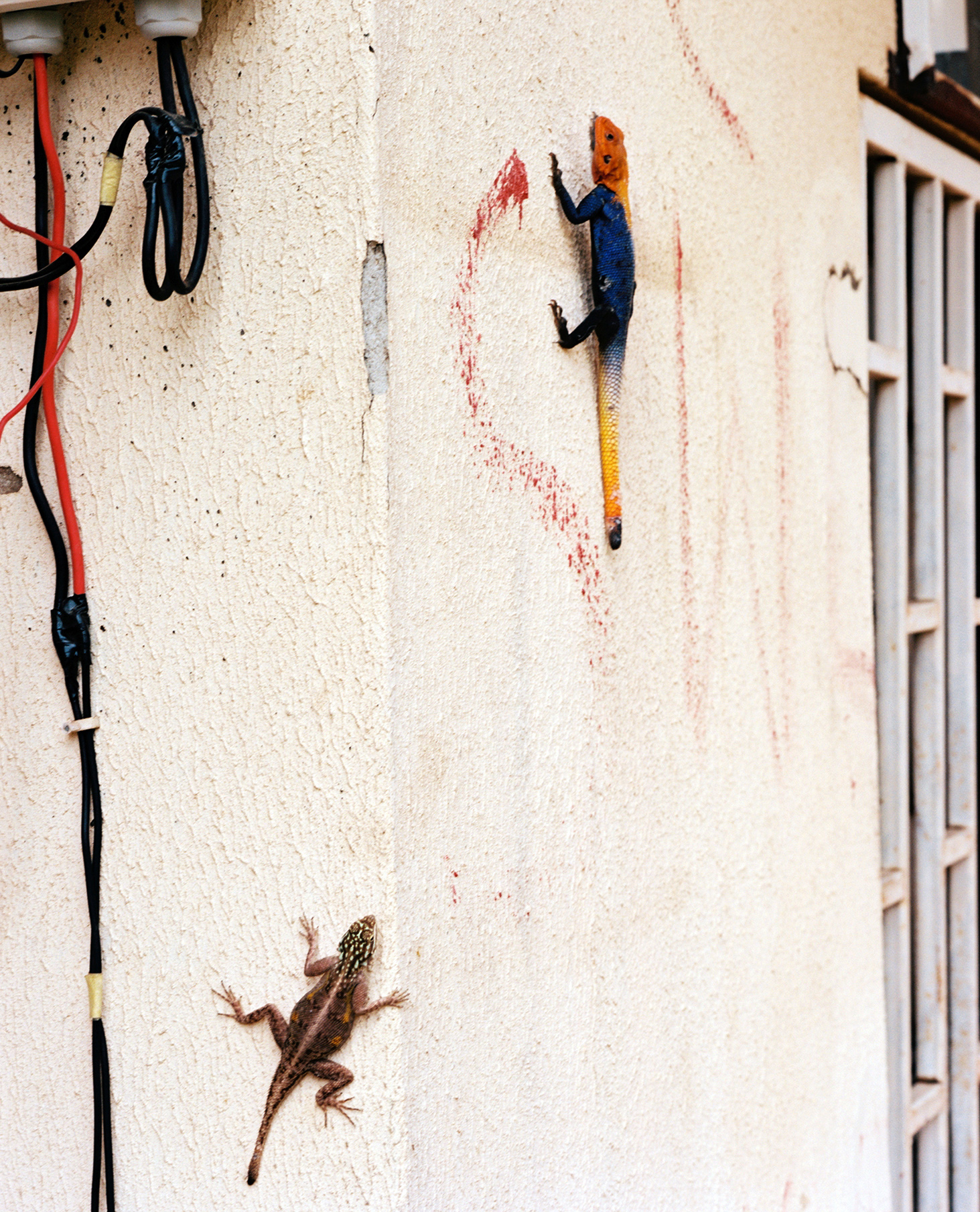 Untitled, Abuja, 2018