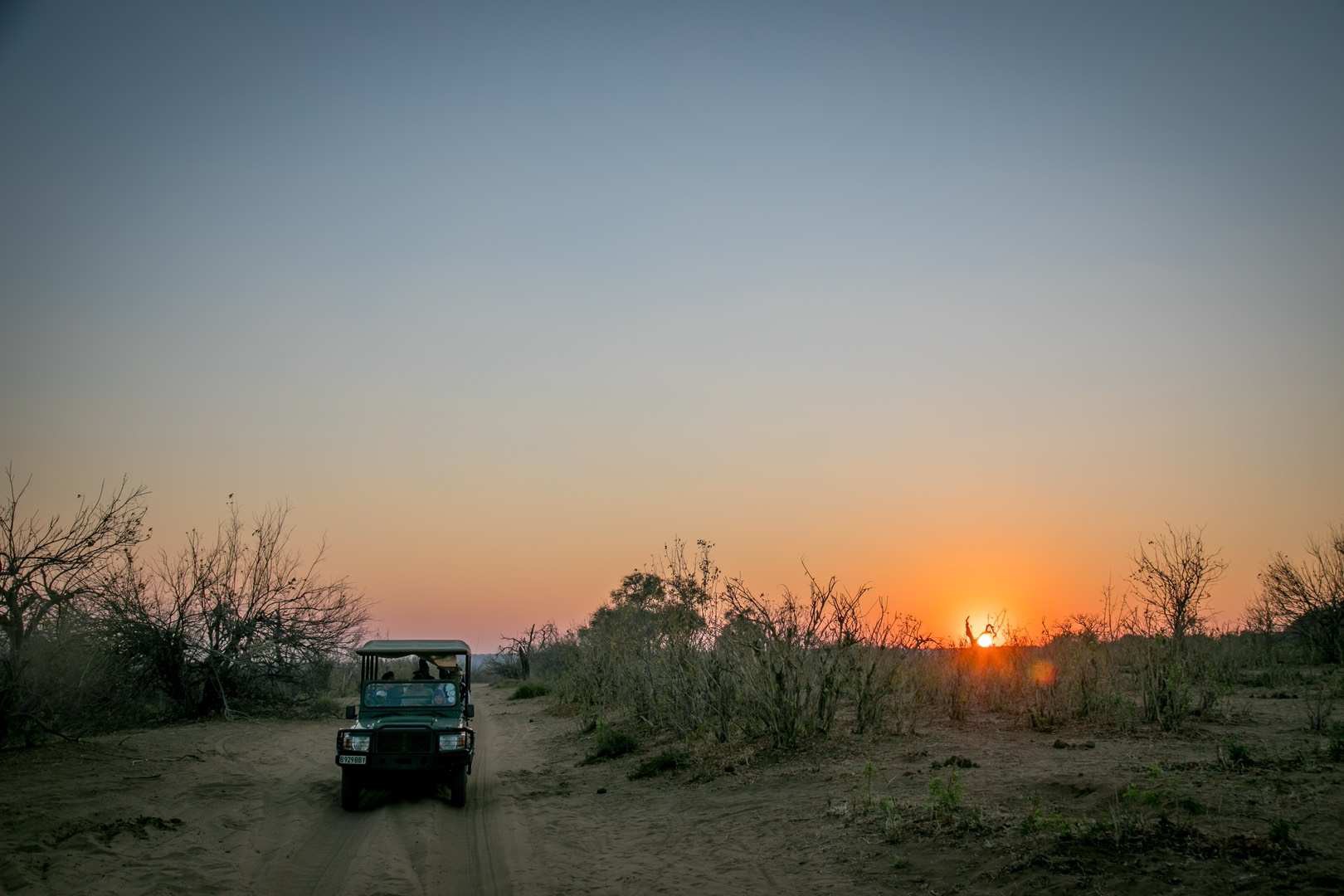 catching sunrise/set chasing animals' schedule
