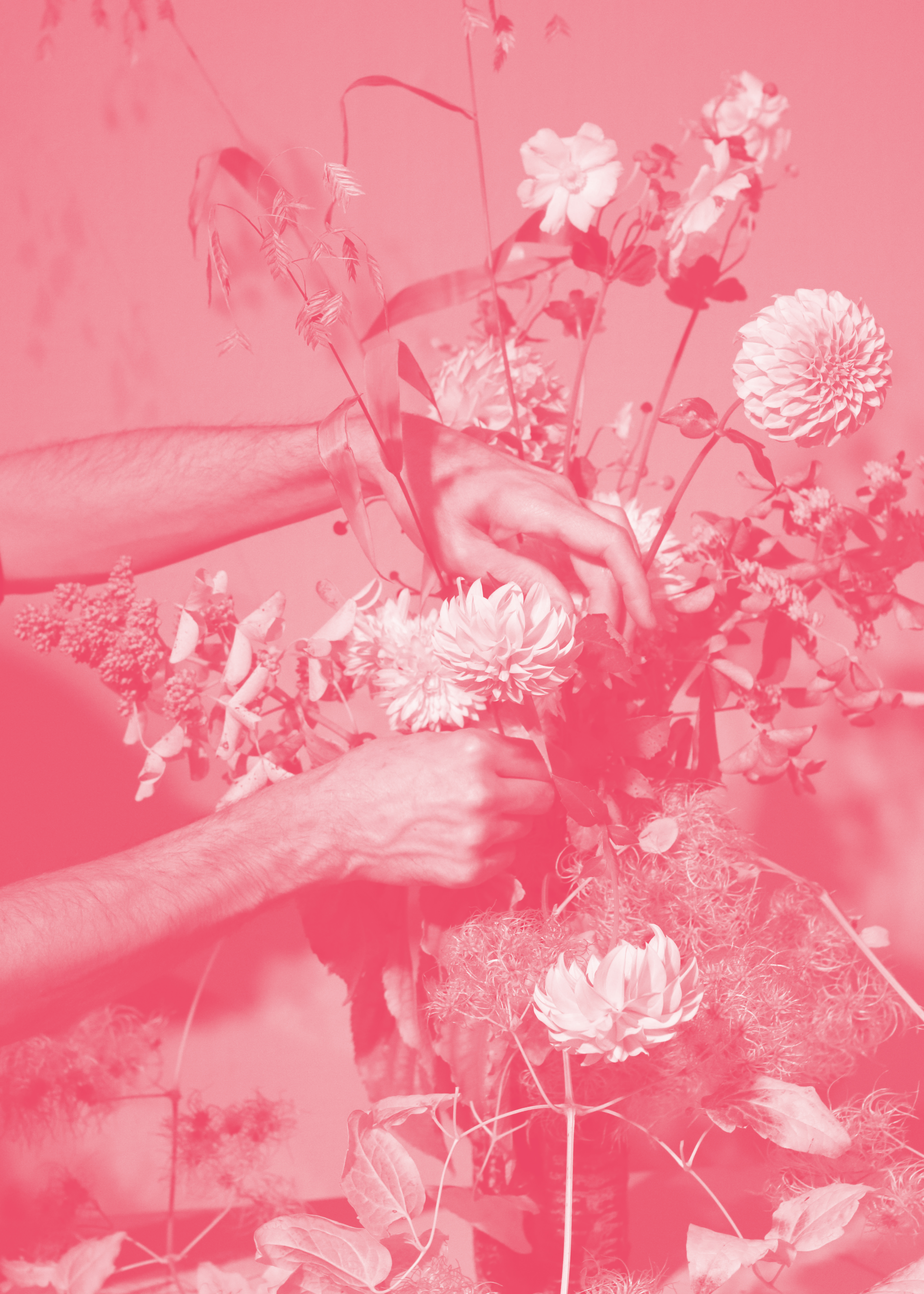 Rosalie Fleurie, 2024