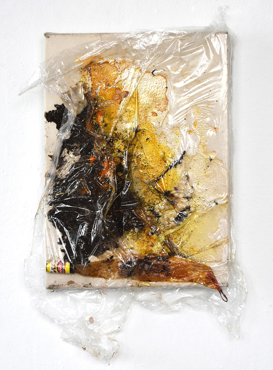 FLY GLUE-PIT TRAP (missing: Venus), 2019, plastic, flies (Drosophila melanogaster, Muscidae) moth, silkworm, soil (with fertilizer), Hunter’s Fly Glue-Pit, echinacea, mold, chicory root, staples, canvas. 18 × 13 × 2".