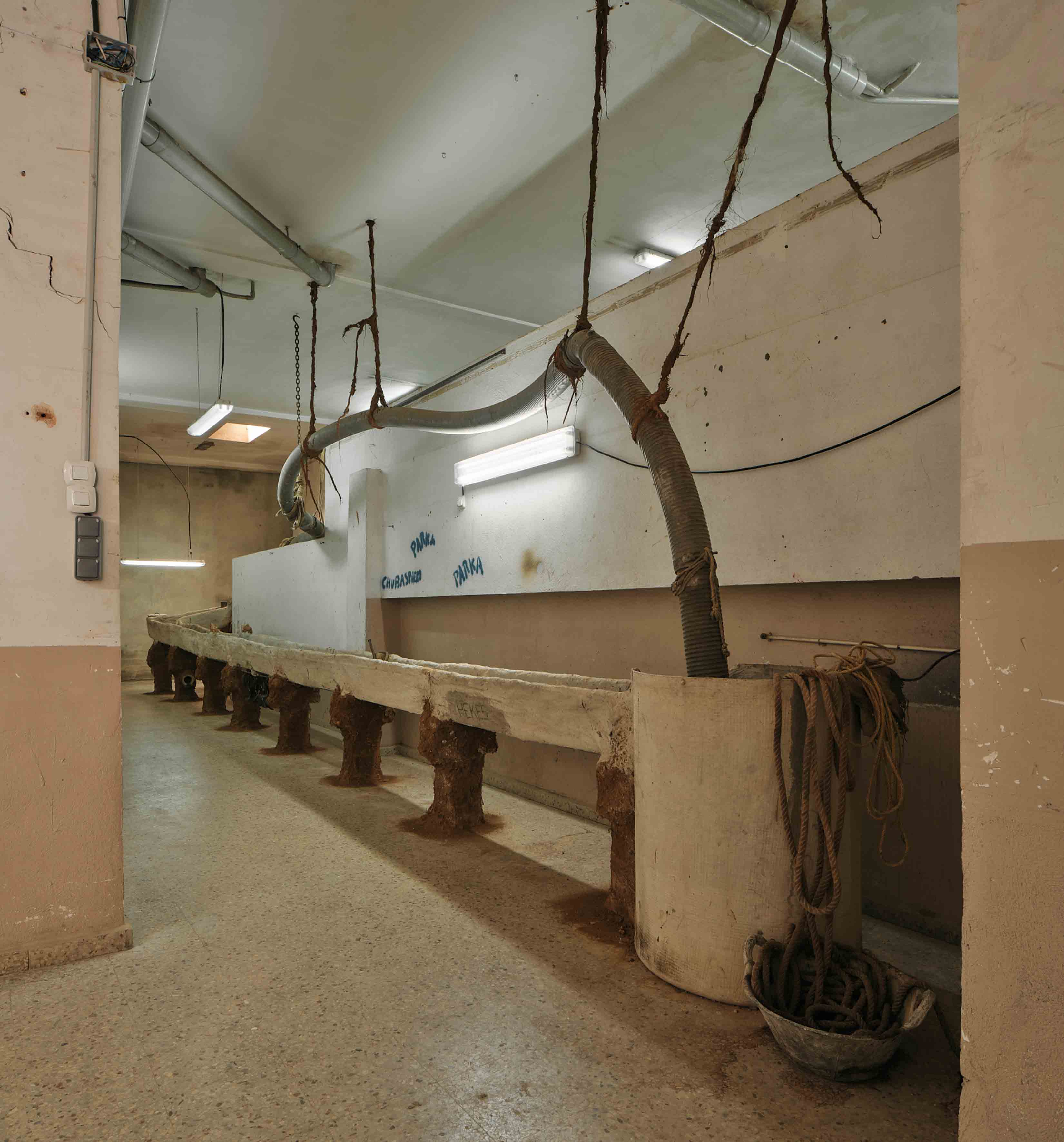 DOTZE PASOS by PEPET at POLS [from 20250925 to 20251130] [Photo: David Zarzoso]