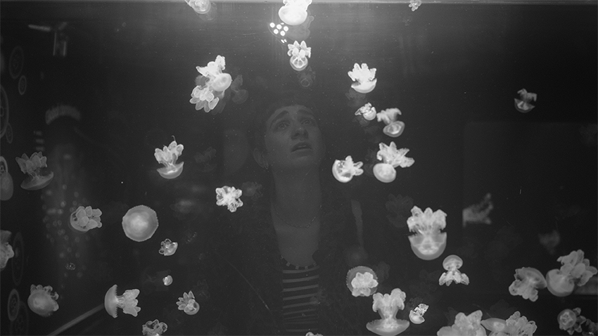 Animal Antics // Film // Patrick Goddard