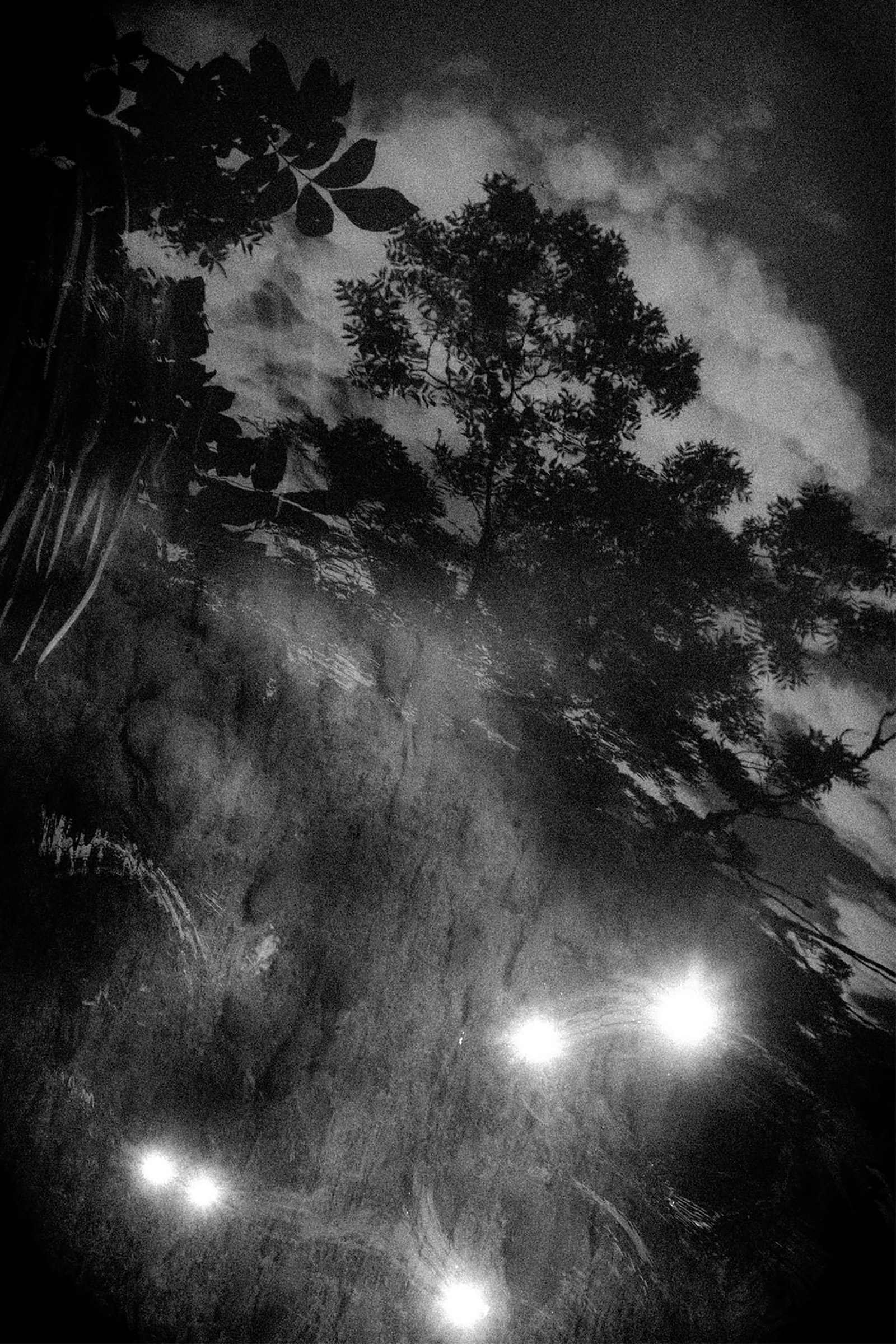 © Fabrice DOMENETTransmutation, 2024