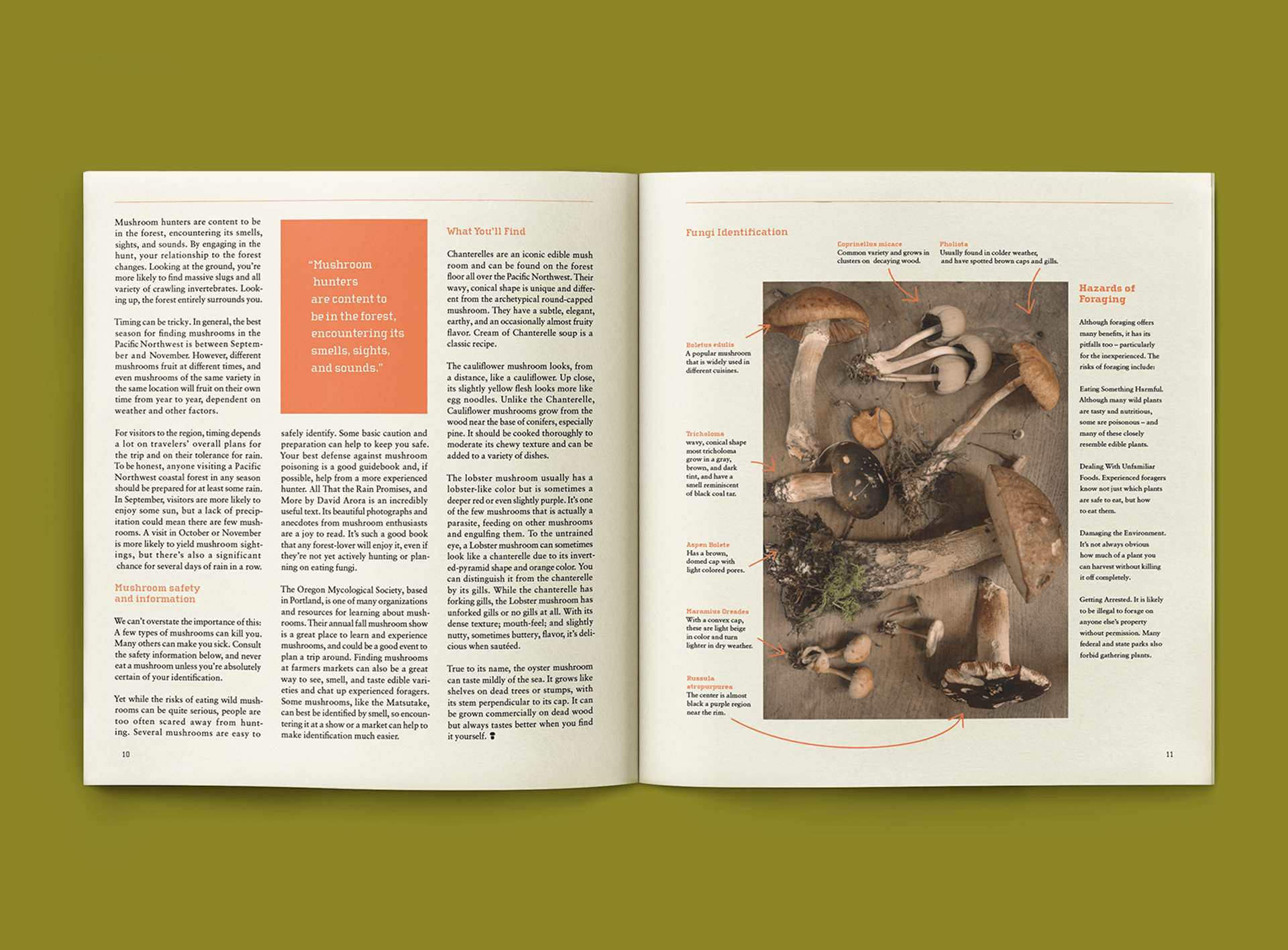 Forage Magazine — Kacie Cooper