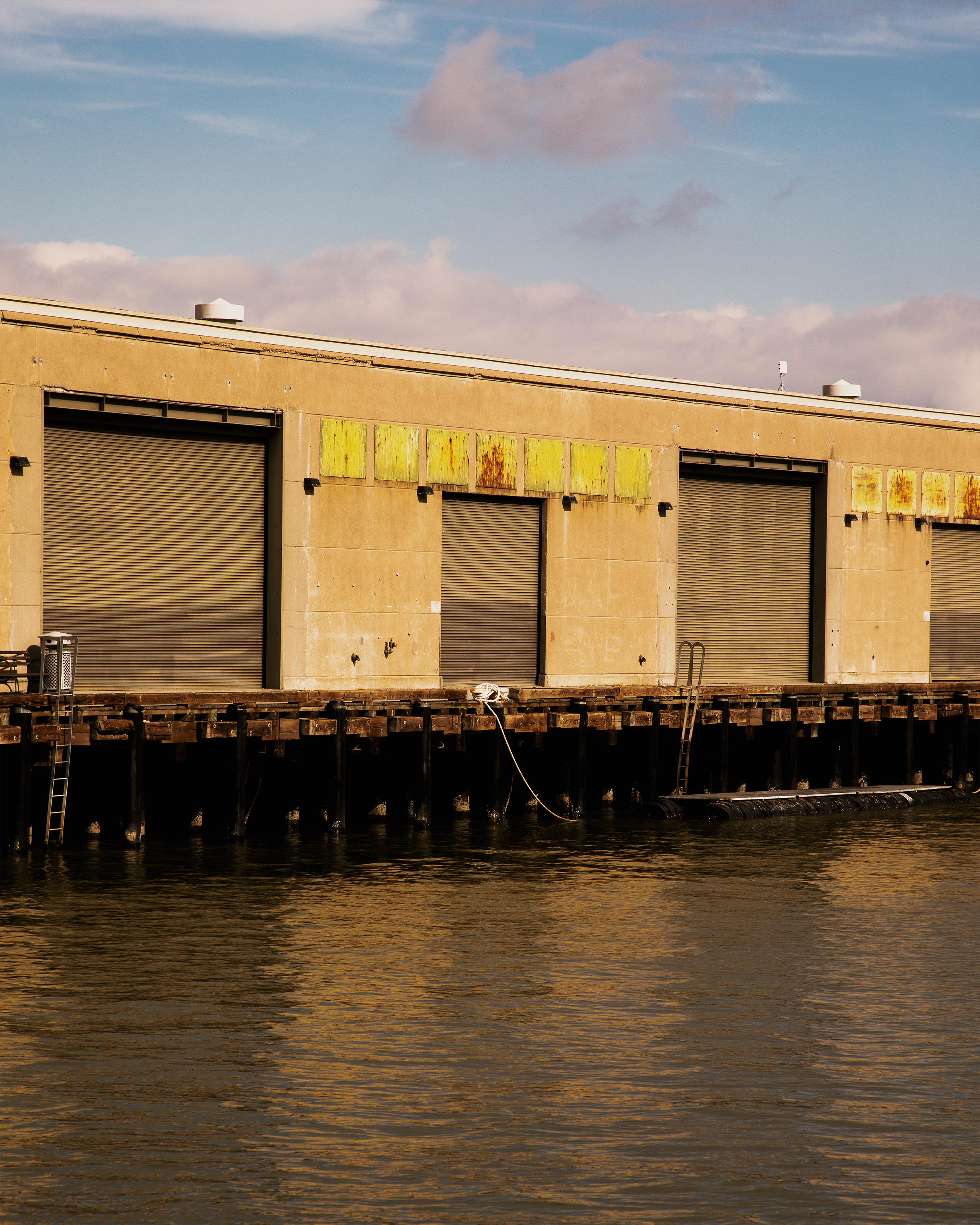 Fort Mason, San Francisco. 2023