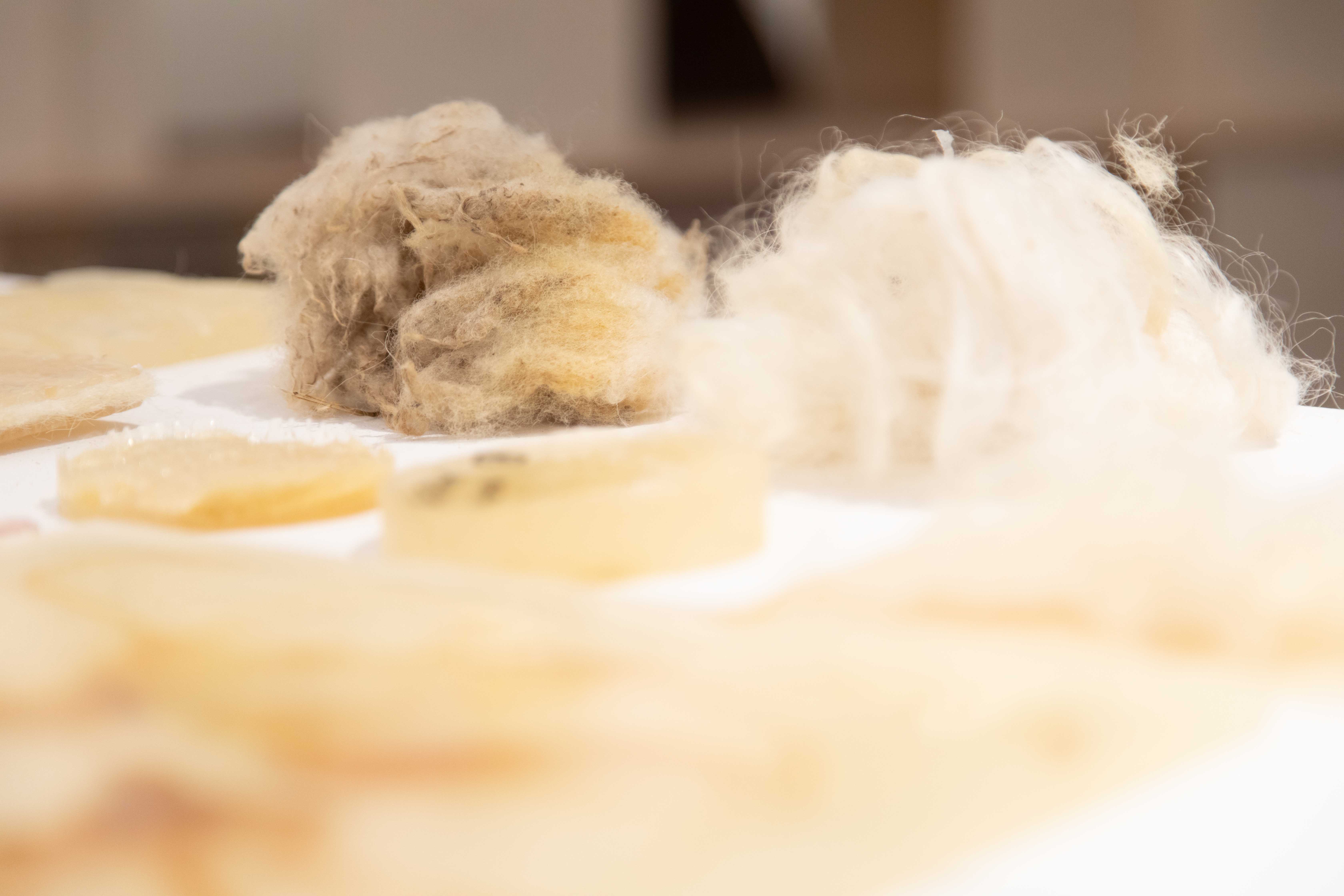 WOOLA waste wool research by cp! studio