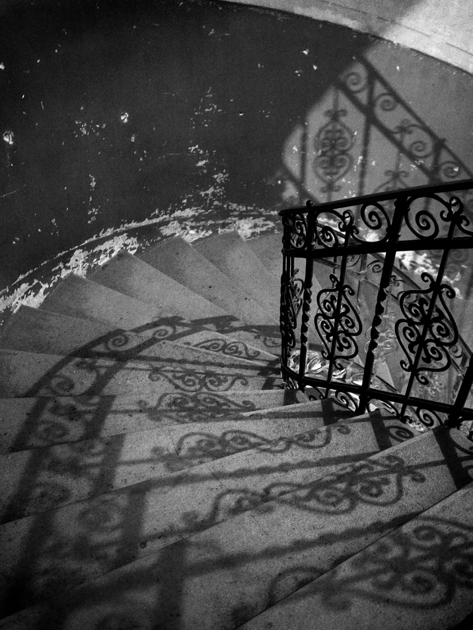 © Caroline POLIKARRonde de Nuit, 2019