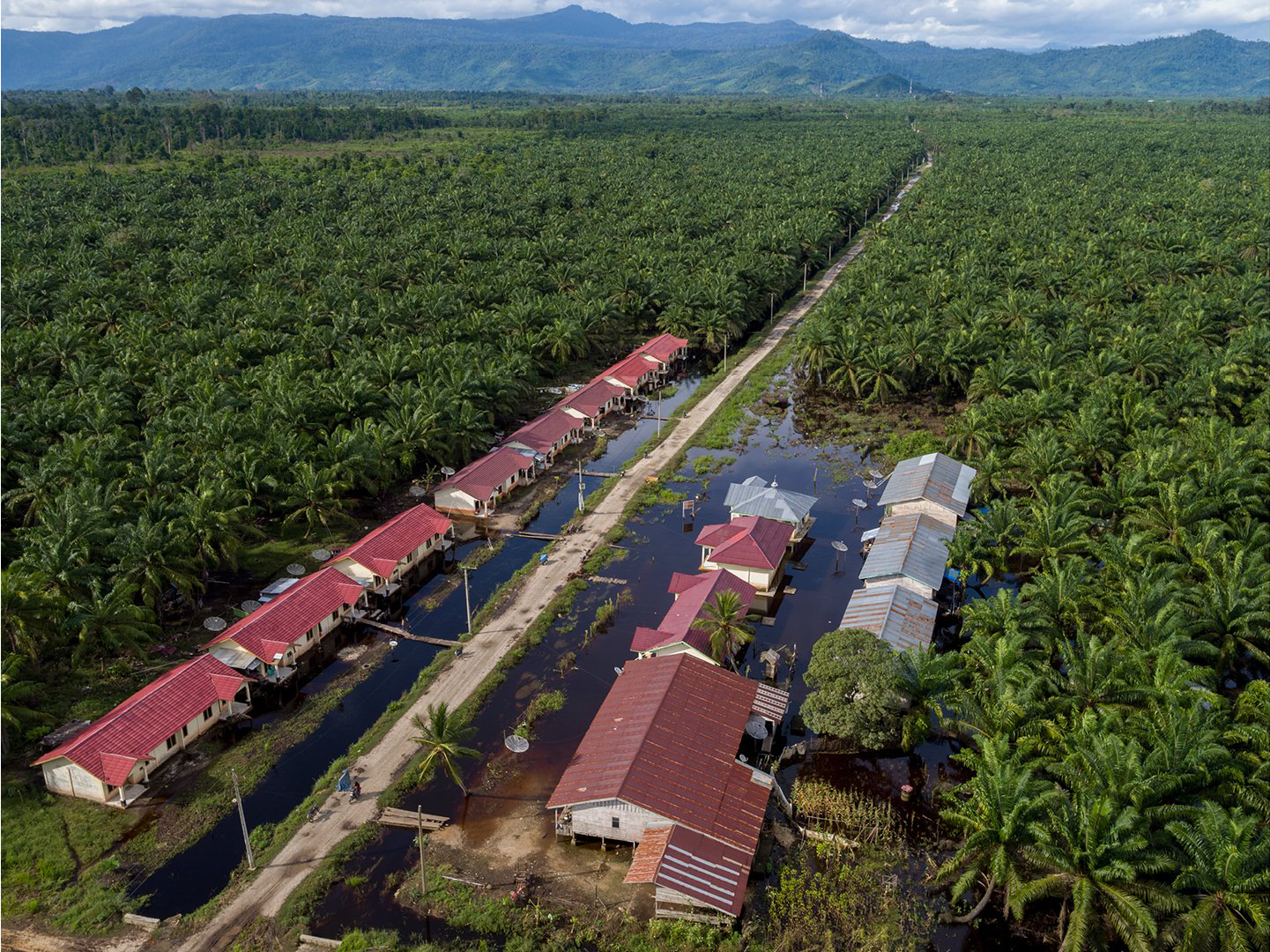 A drone photograph of plantation-worker dormitories in Sumatra.