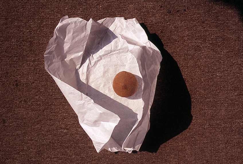 zapote negro, pigment print, 23x29cm