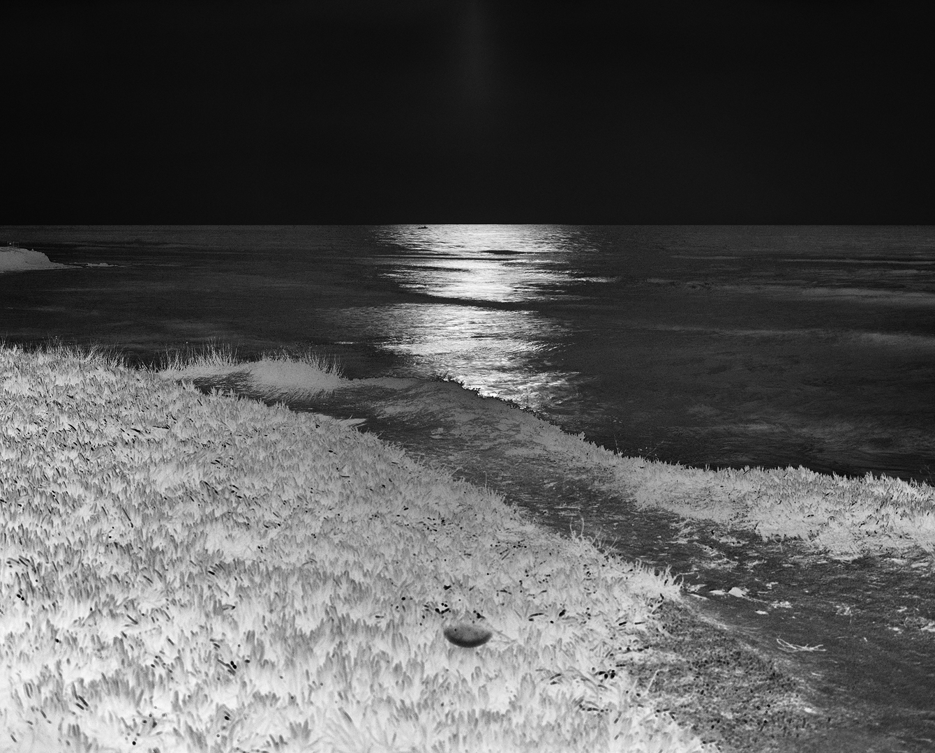 VVVVVVVVVVVVVVVVVVVV (1229R3F7), 2021