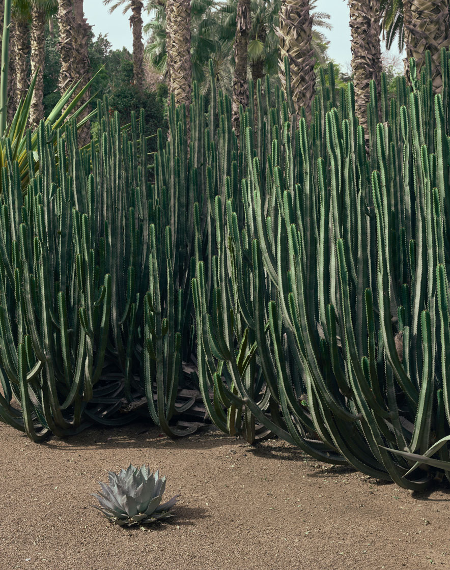 VILLA OASIS - MAJORELLE FOUNDATION - MARRAKESH, MAROCCO
