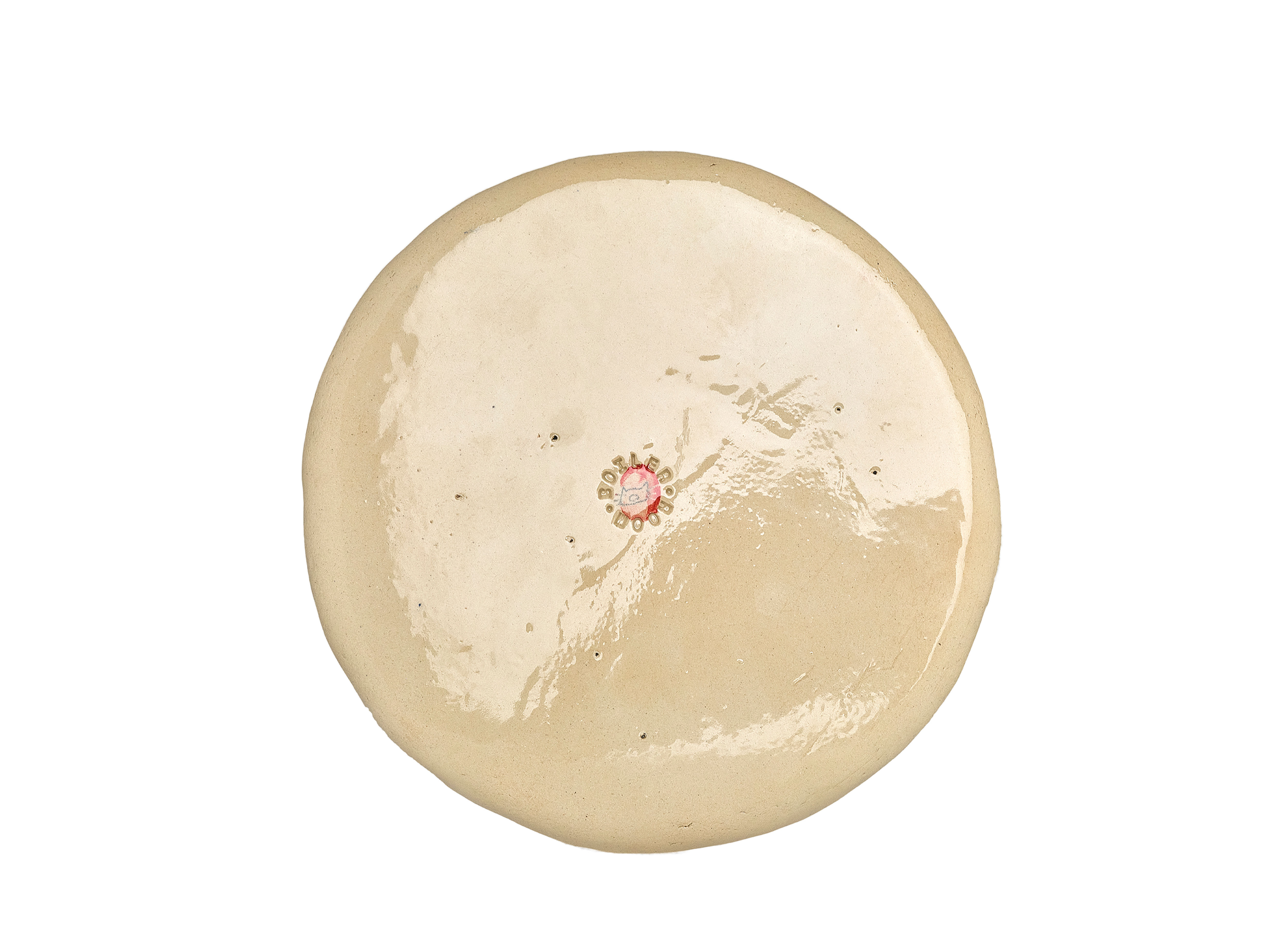 B͓̽l͓̽e͓̽e͓̽d͓̽i͓̽n͓̽g͓̽ ͓̽H͓̽e͓̽a͓̽r͓̽t͓̽ ͓̽P͓̽i͓̽g͓̽e͓̽o͓̽n͓̽ ͓̽S͓̽m͓̽a͓̽l͓̽l͓̽ ͓̽P͓̽l͓̽a͓̽t͓̽e͓̽