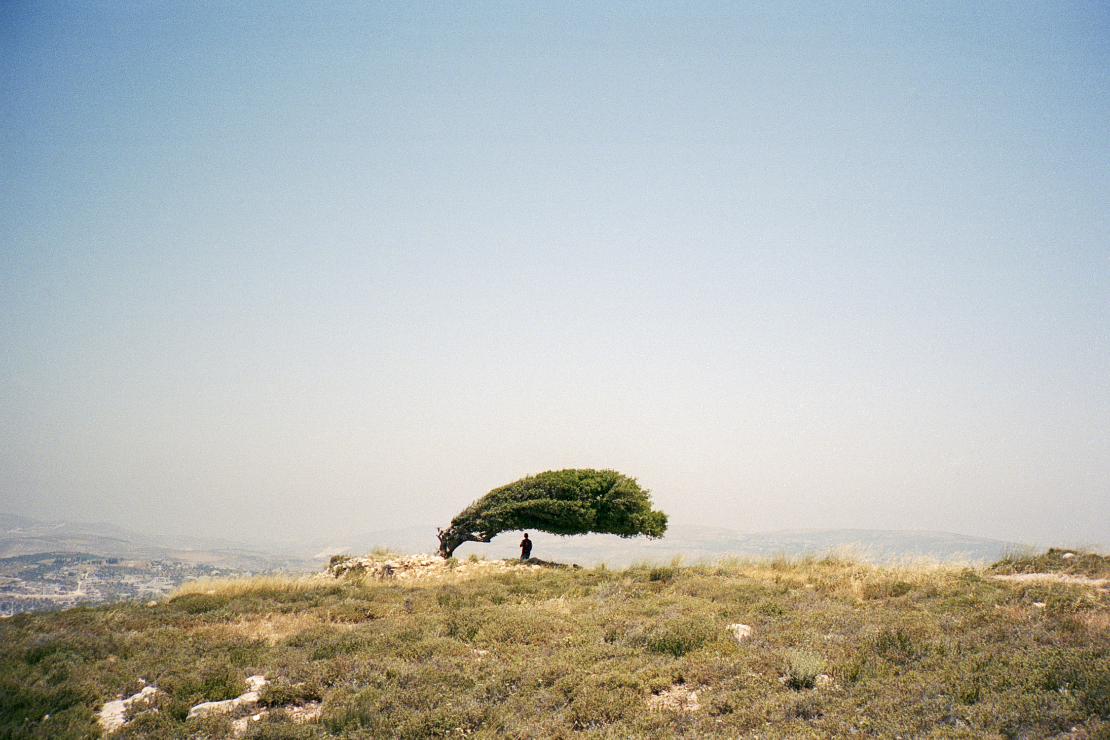 Asira al Shamaliya, Palestine, 2019