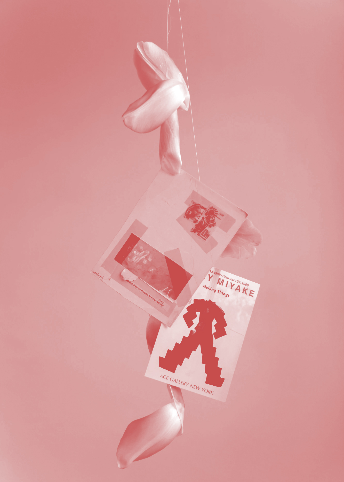 Fragments of Rosalie, 2021