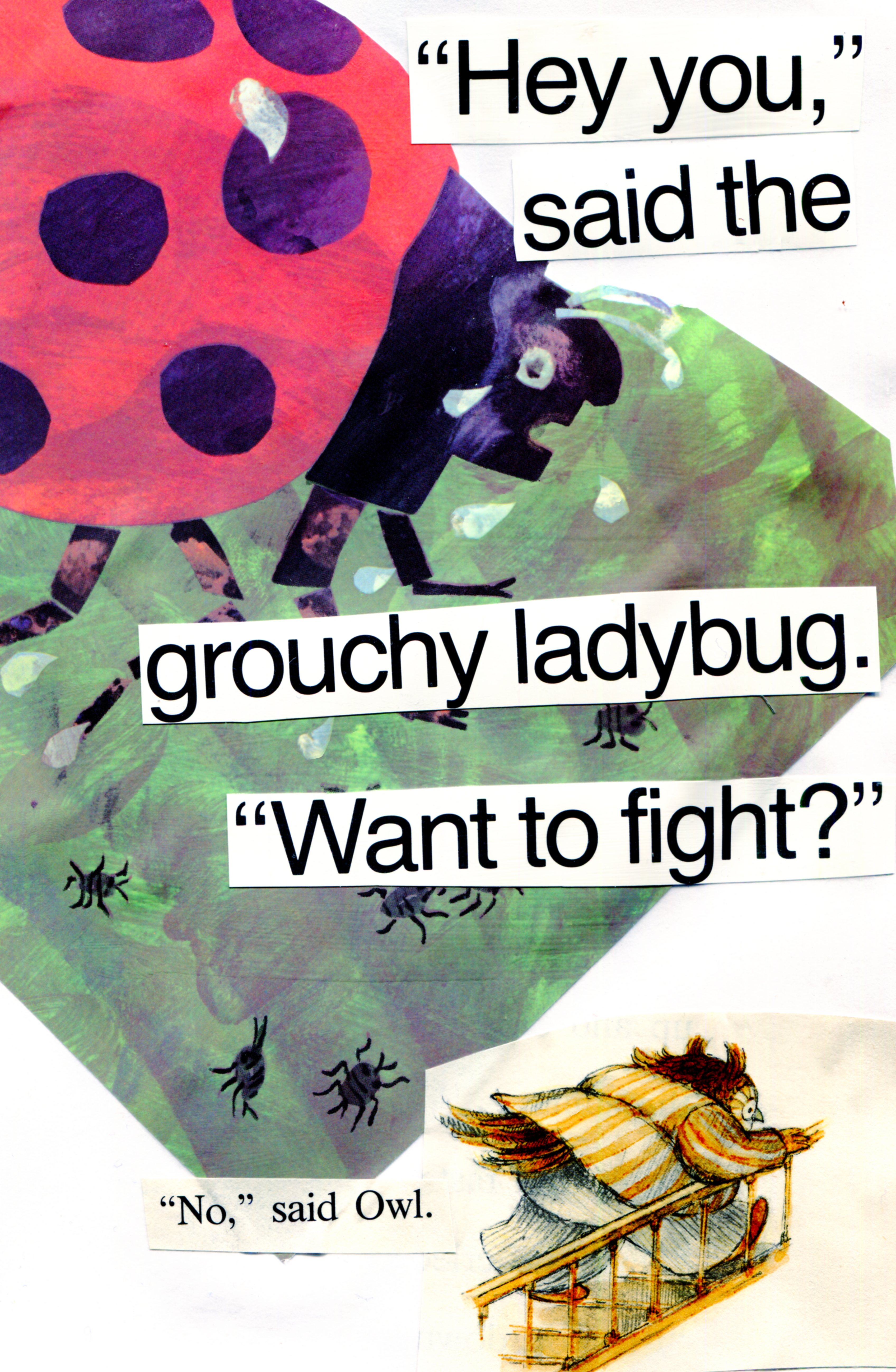 Ladybug vs Owl